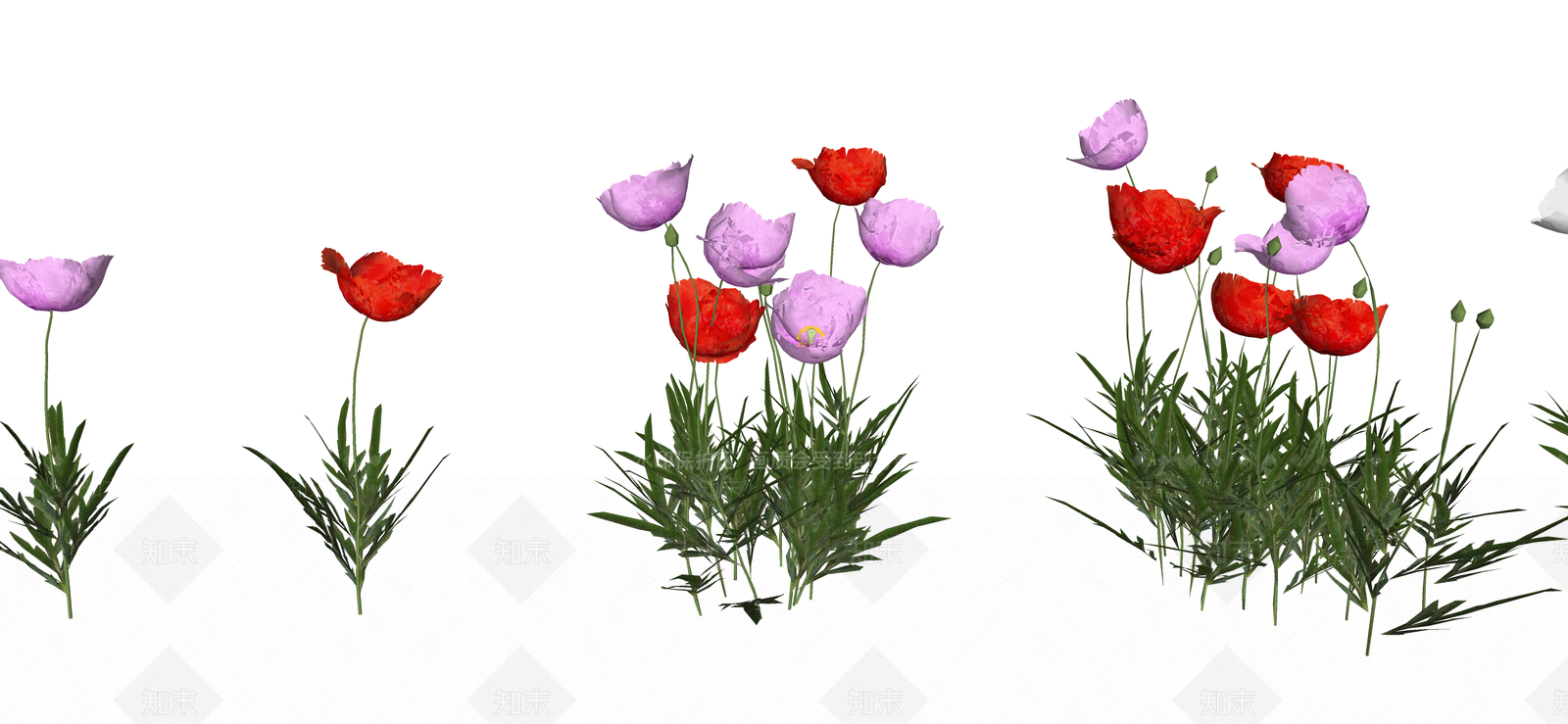 花草SU模型下载【ID:1187537789】