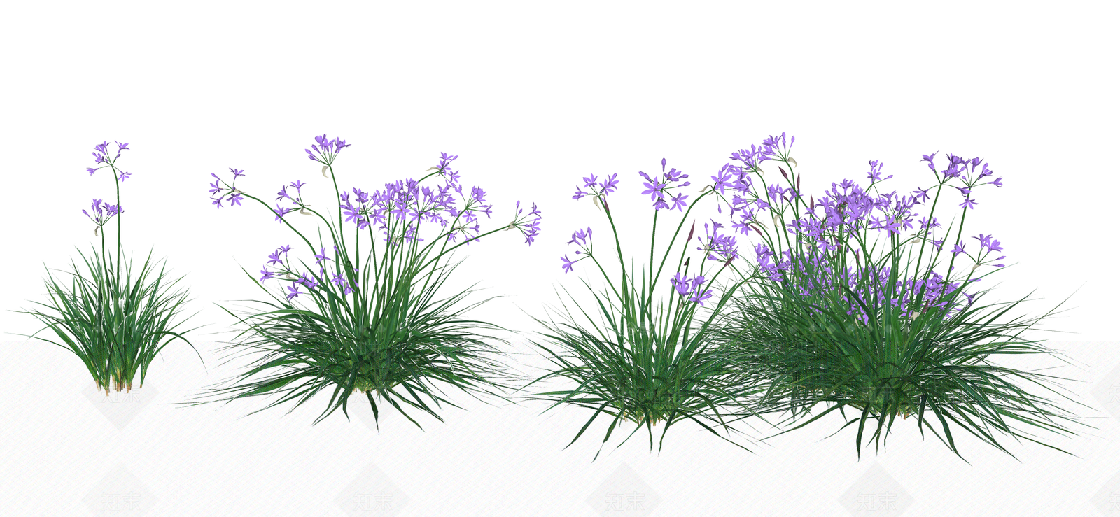 花草SU模型下载【ID:1187539664】