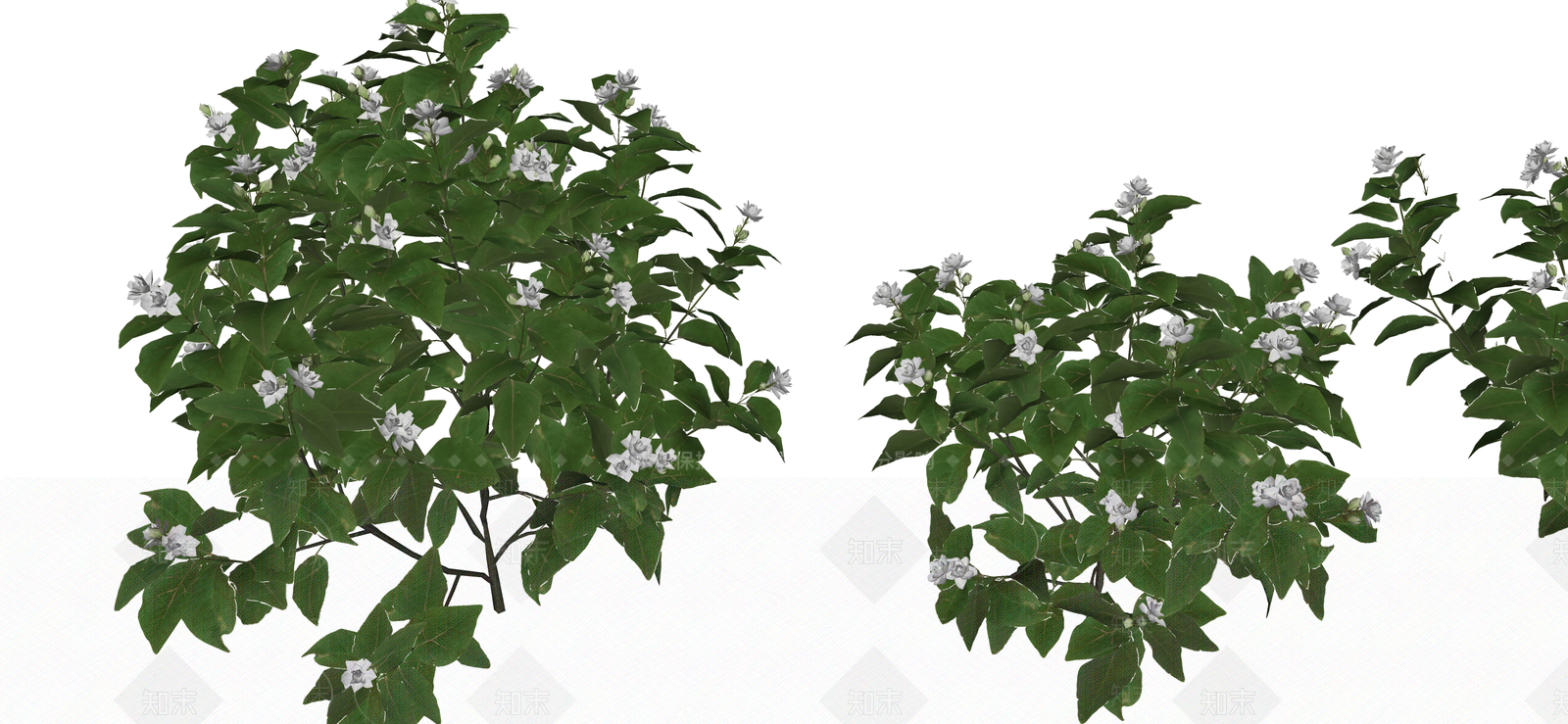 花草SU模型下载【ID:1187539964】