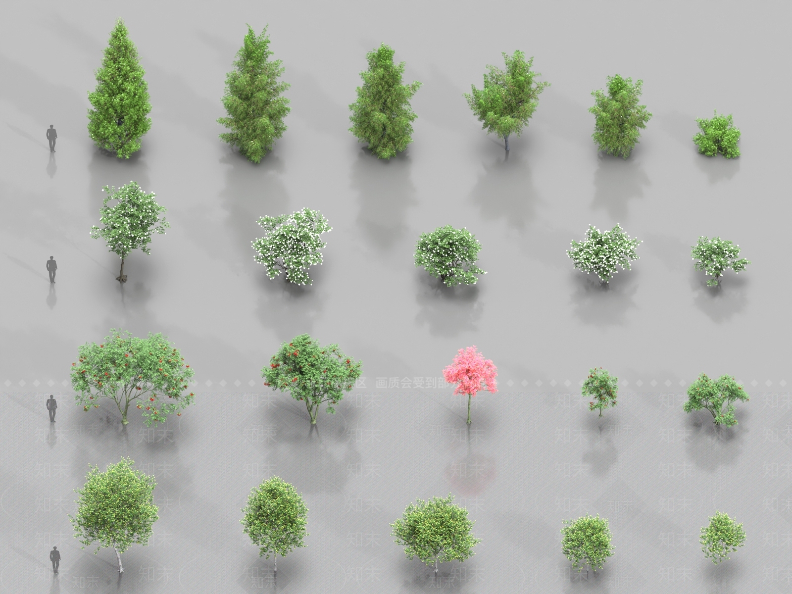乔木3D模型下载【ID:1187574014】