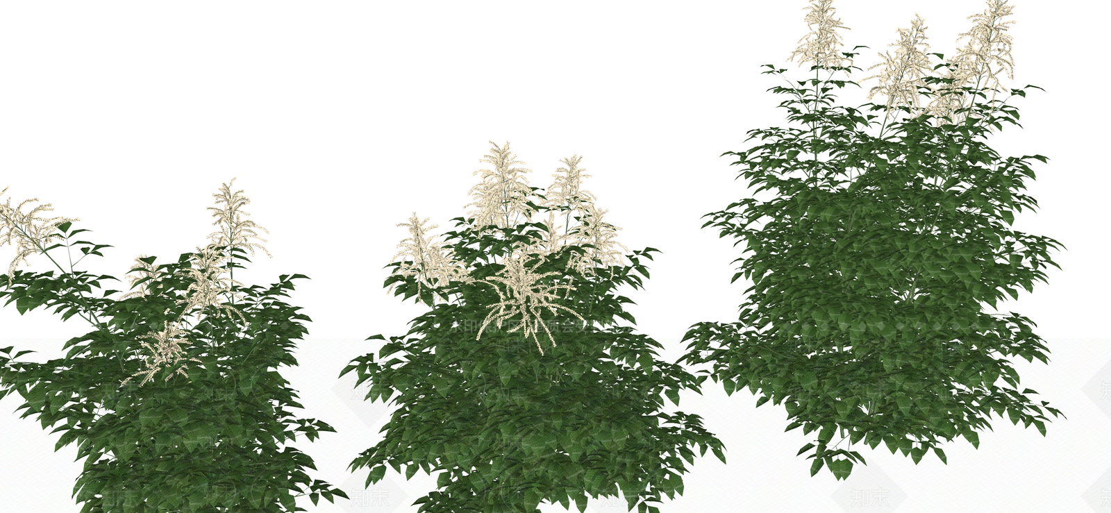 花草SU模型下载【ID:1187593359】
