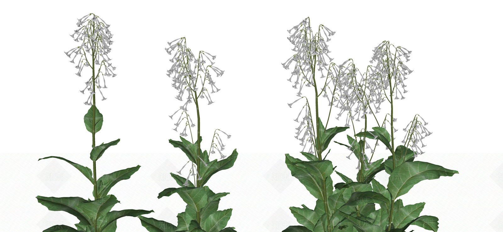 花草SU模型下载【ID:1187588007】