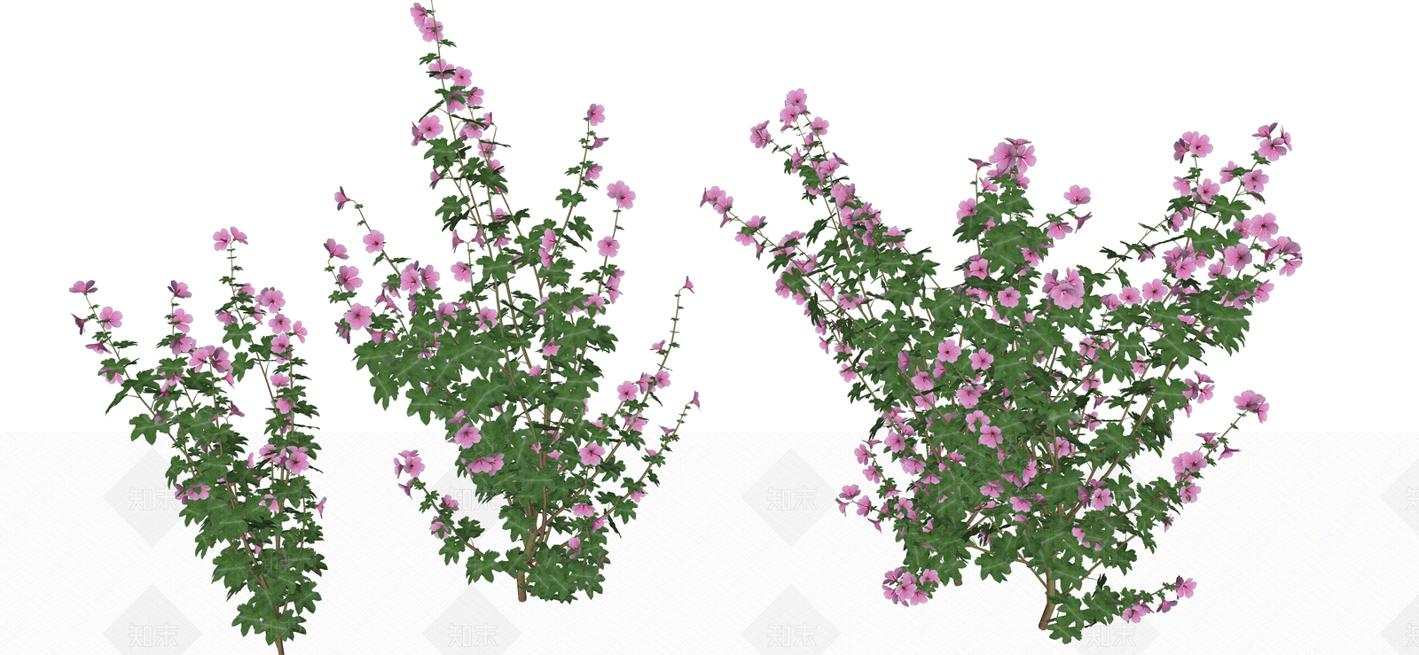 花草SU模型下载【ID:1187589305】