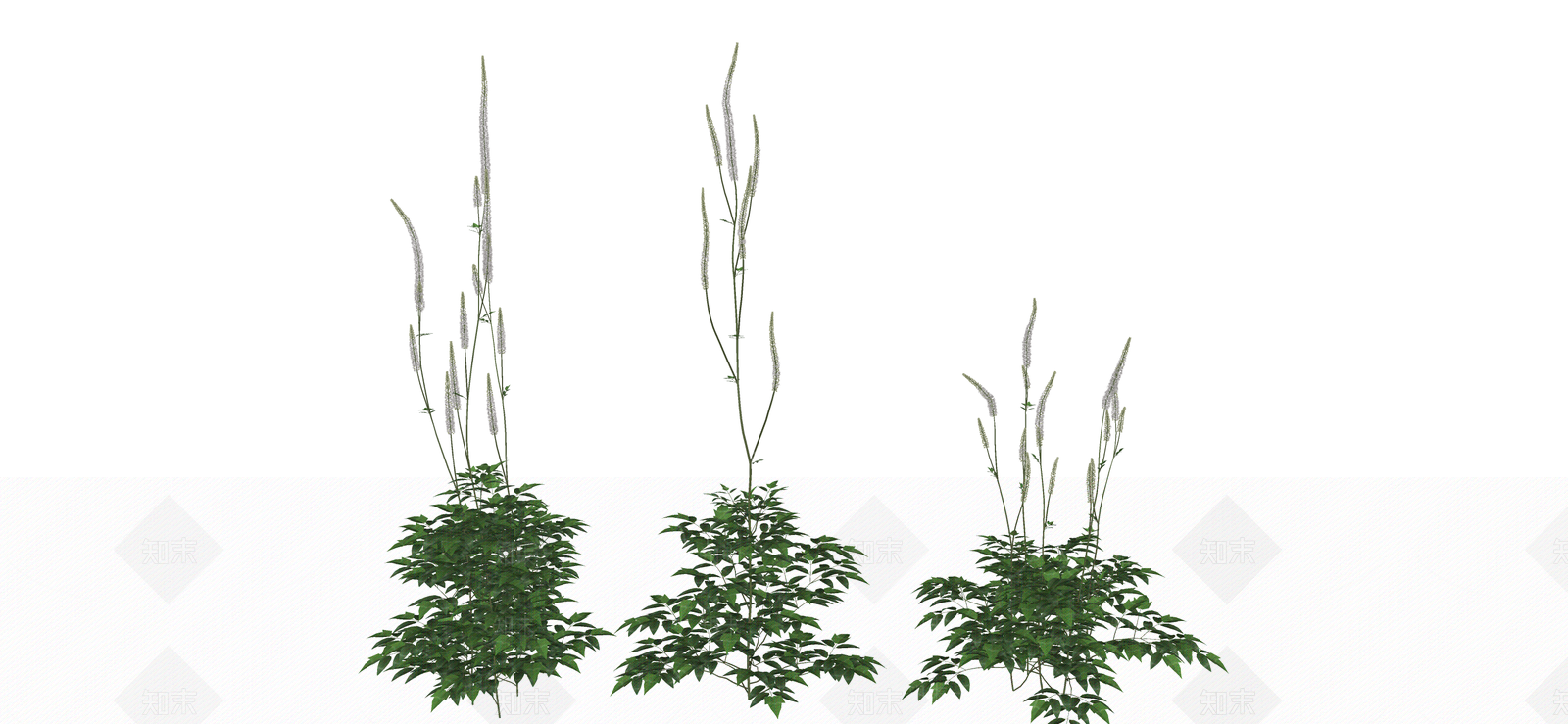花草SU模型下载【ID:1187590282】
