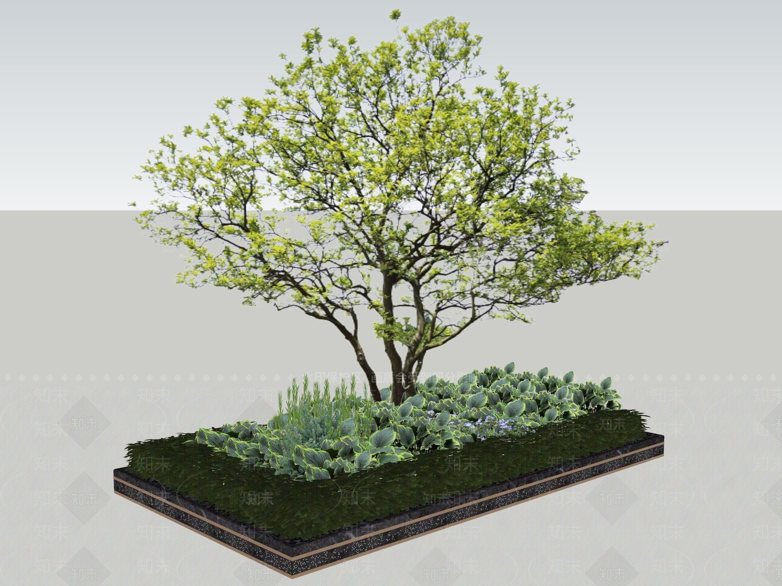 乔木SU模型下载【ID:1187617740】