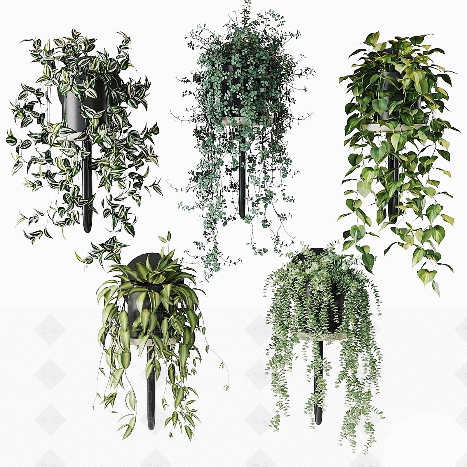 现代花盆3D模型渲染效果图