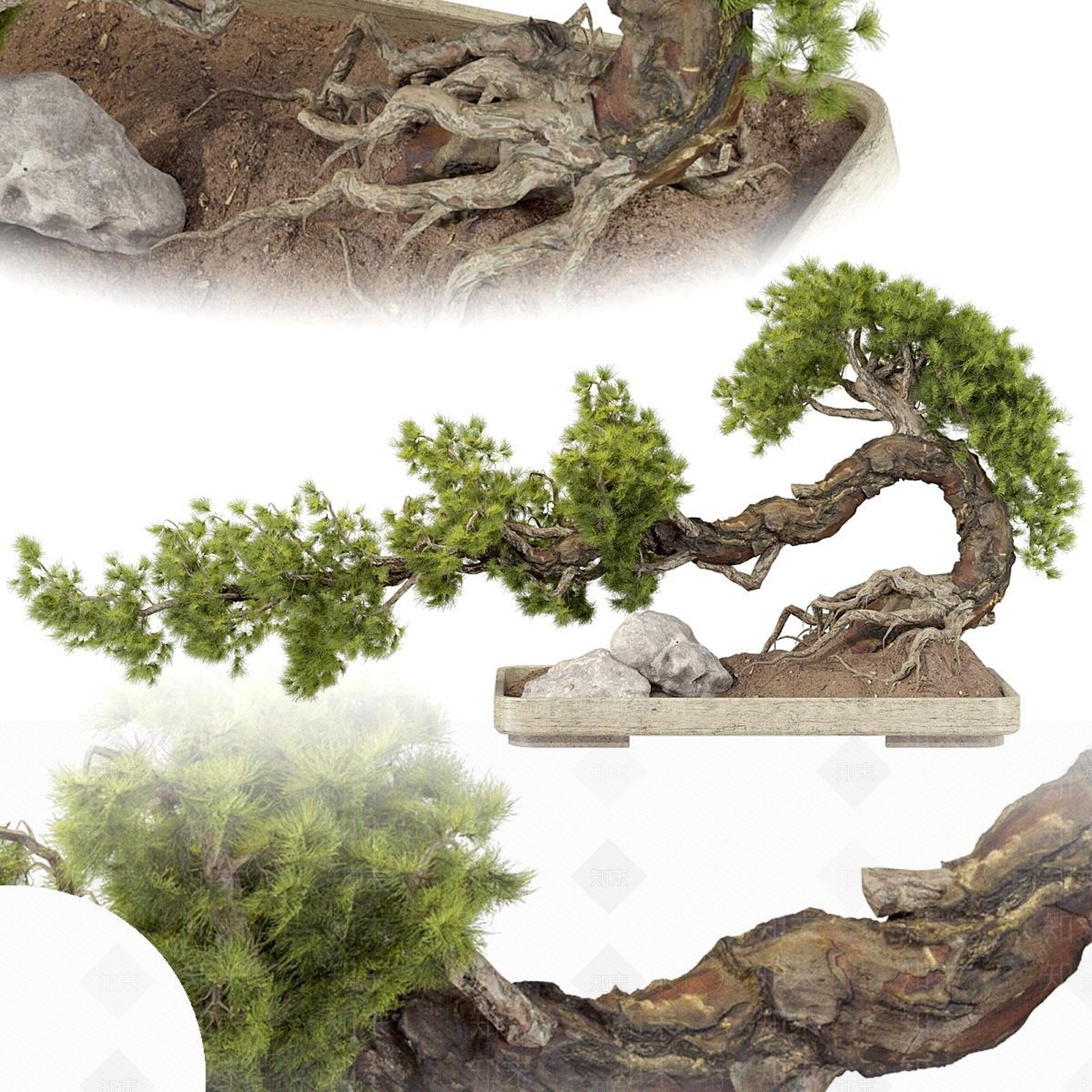 盆栽3D模型下载【ID:1187683149】