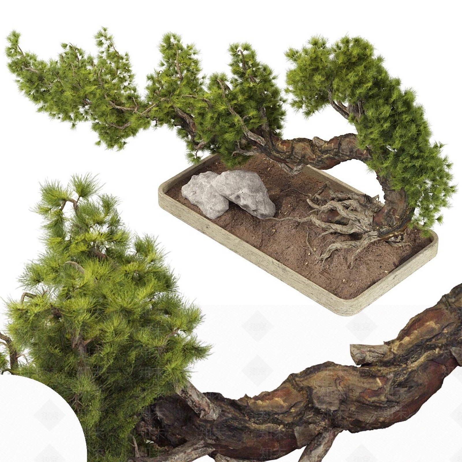 盆栽3D模型下载【ID:1187683149】