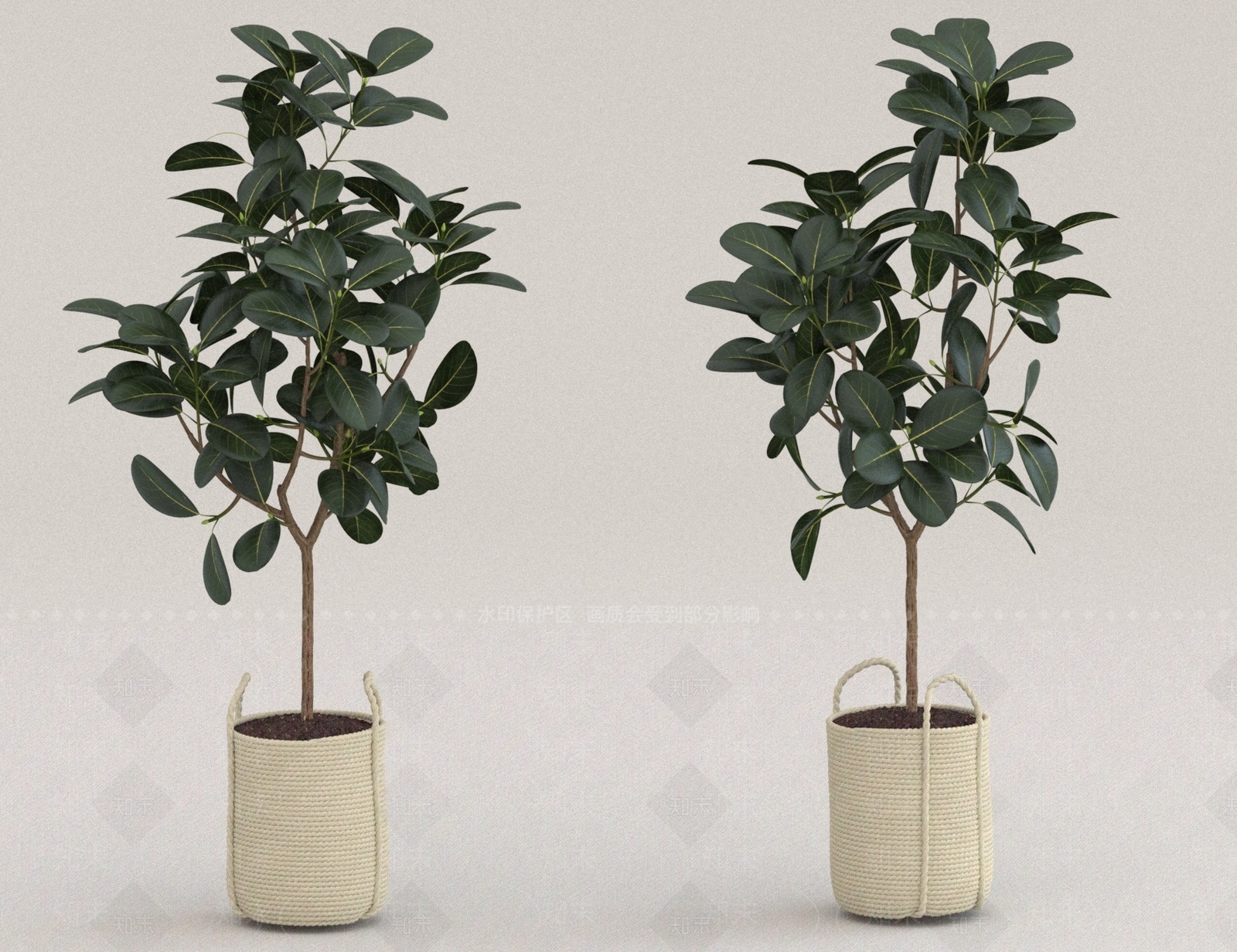 盆栽3D模型下载【ID:1187686605】