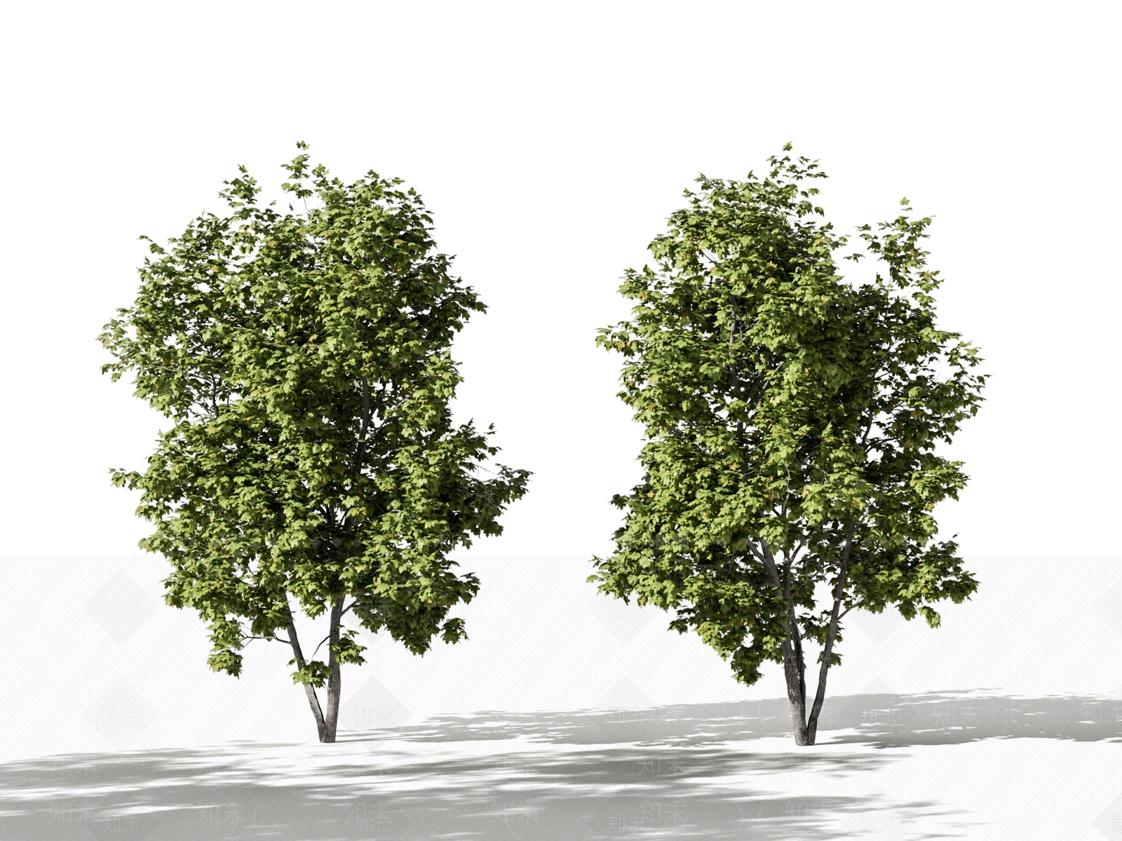 景观树3D模型下载【ID:1187694832】