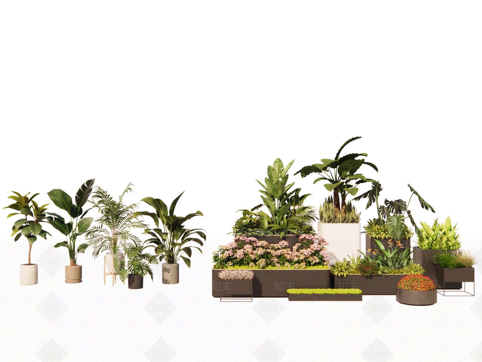 植物组合SU模型下载【ID:1187705044】
