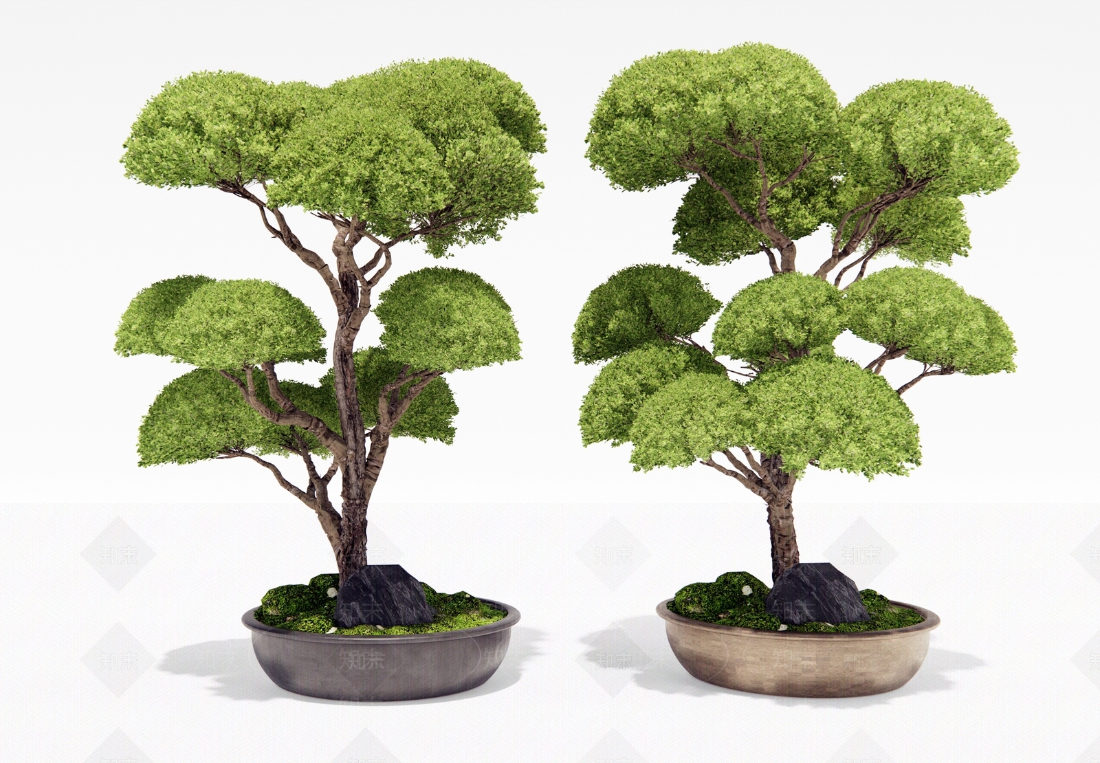 盆栽3D模型下载【ID:1187721702】