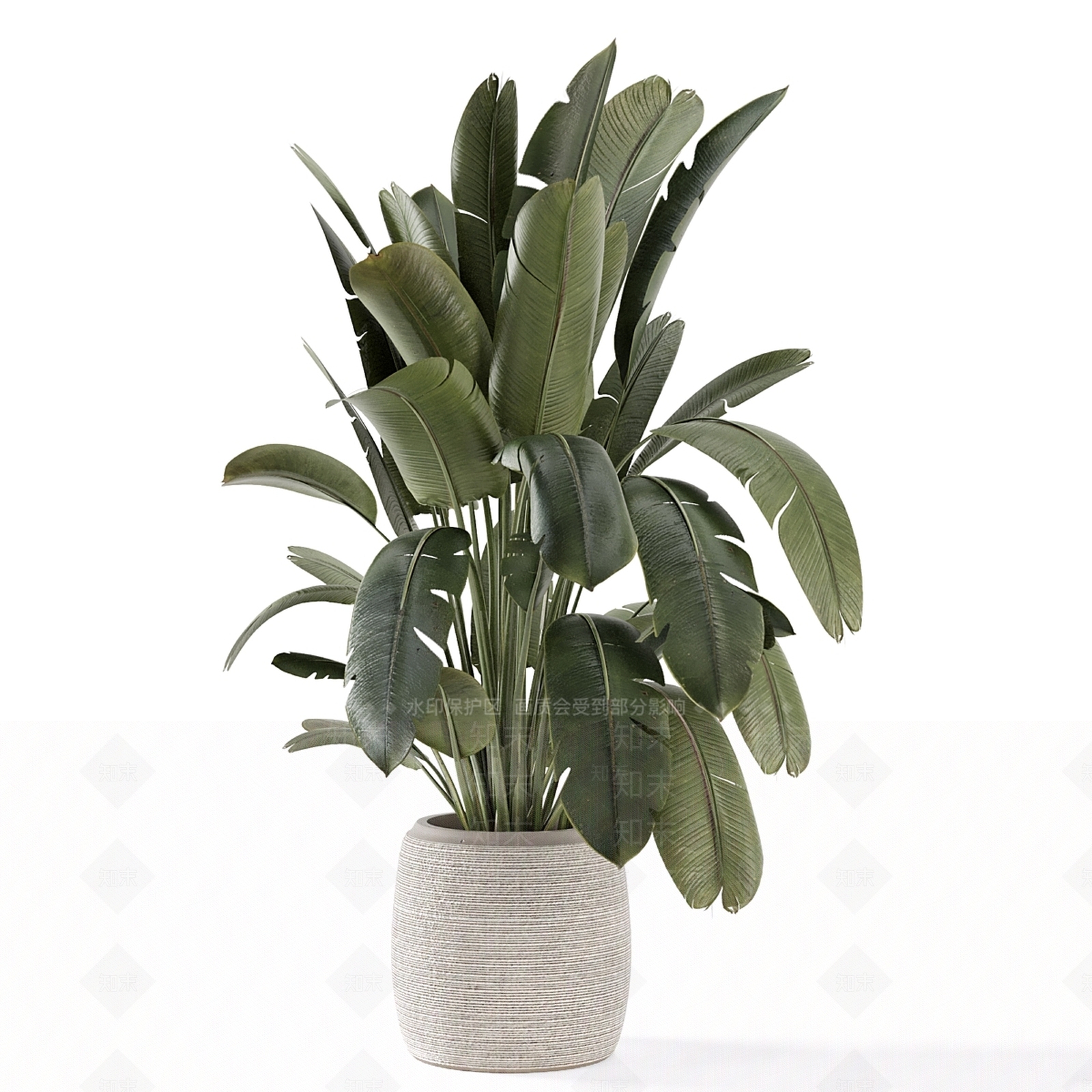 盆栽3D模型下载【ID:1187770745】