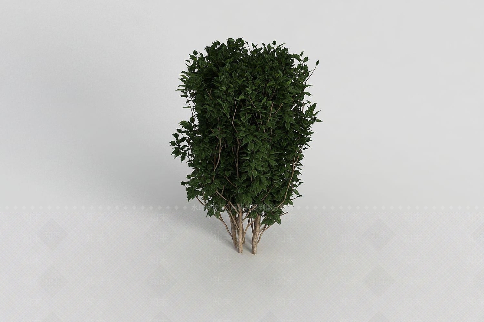 现代灌木3D模型下载【ID:1187782670】