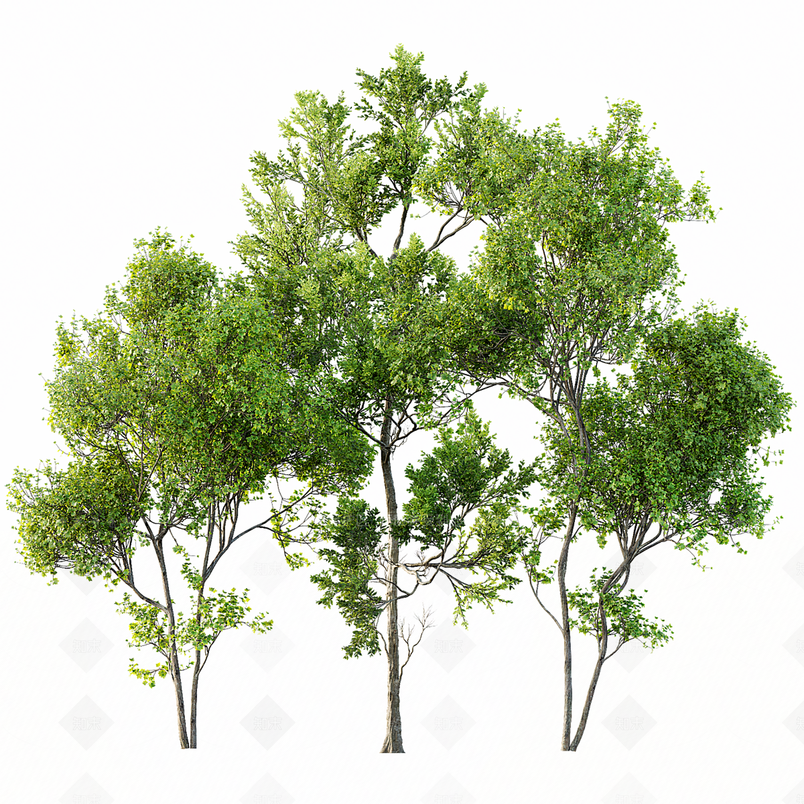 景观树3D模型下载【ID:1187796612】