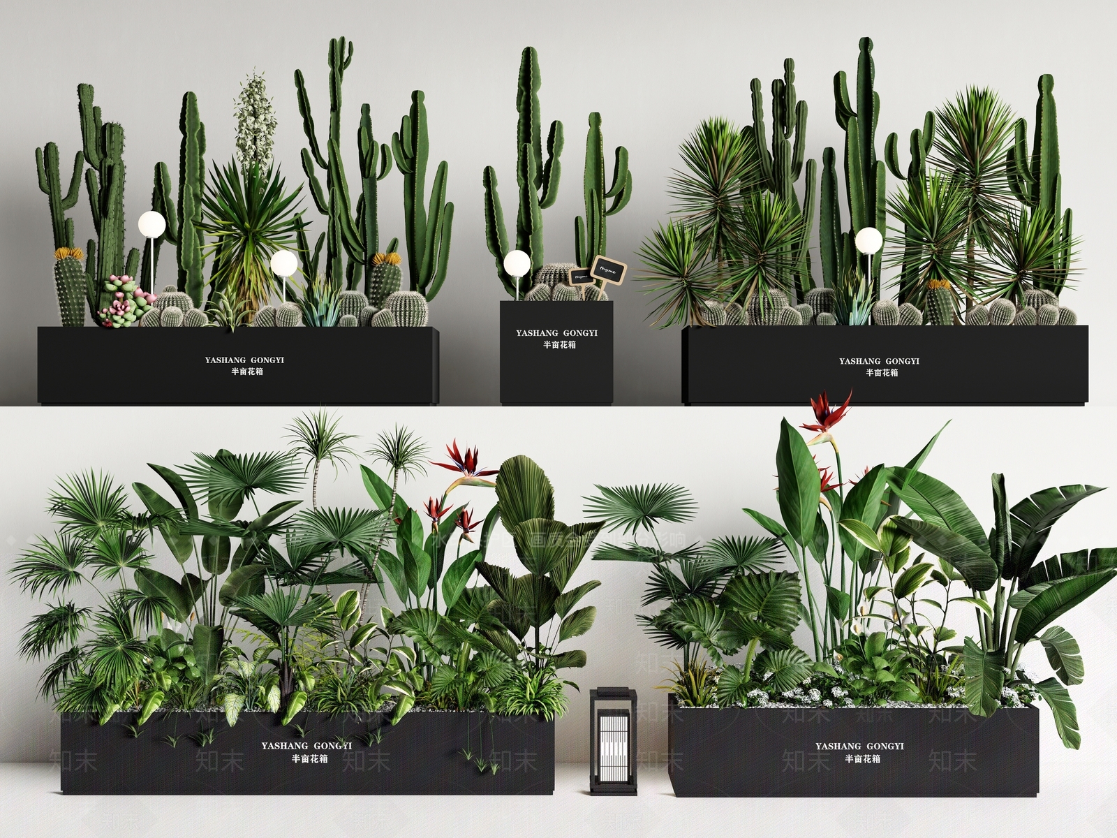 植物组合SU模型下载【ID:1187809120】