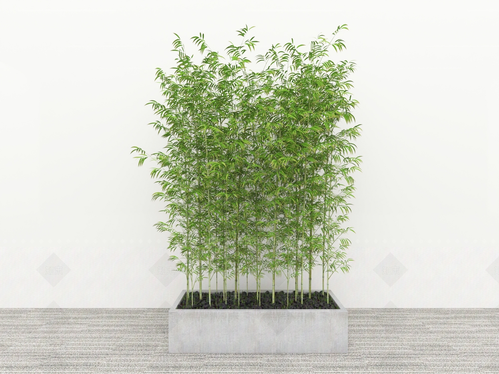 其他绿植3D模型下载【ID:1187812565】