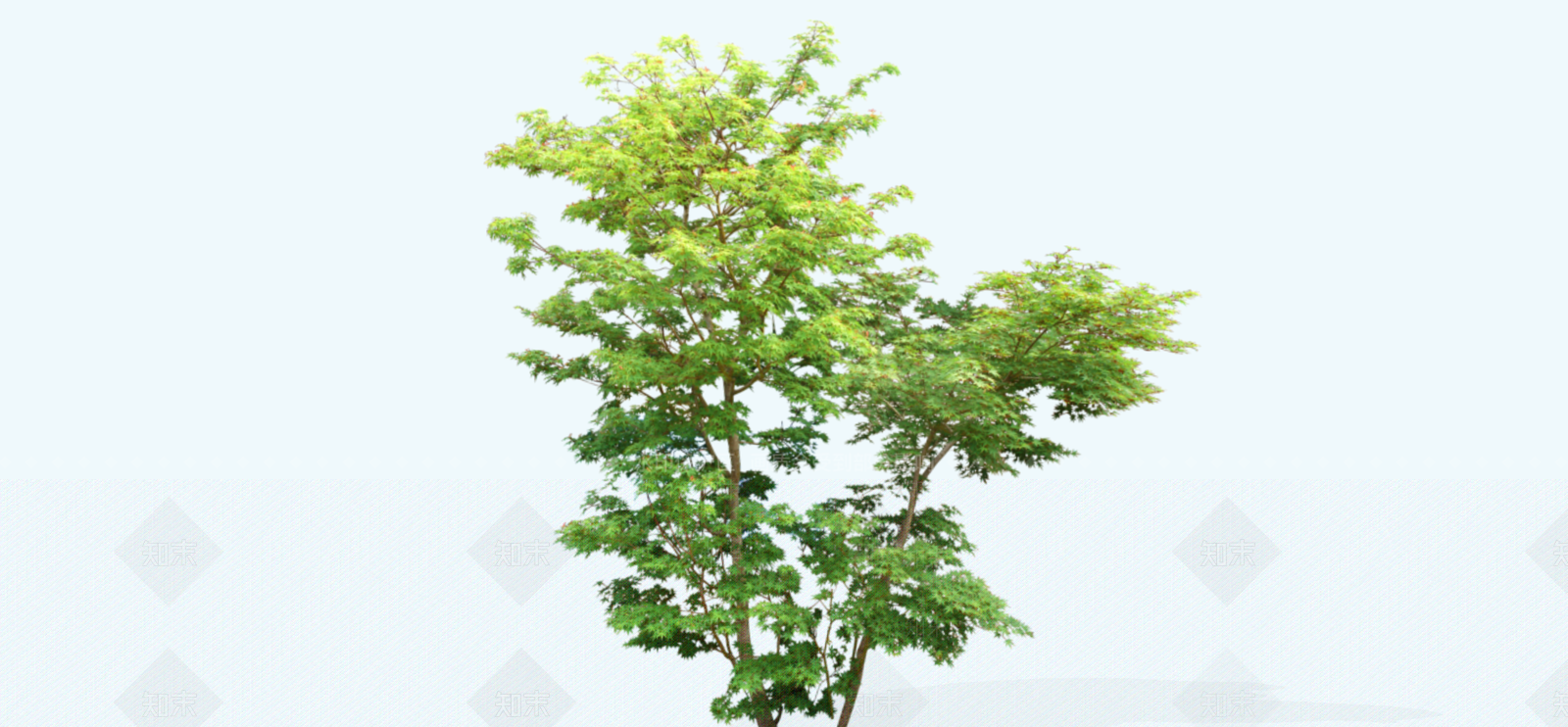 灌木SU模型下载【ID:1187925209】