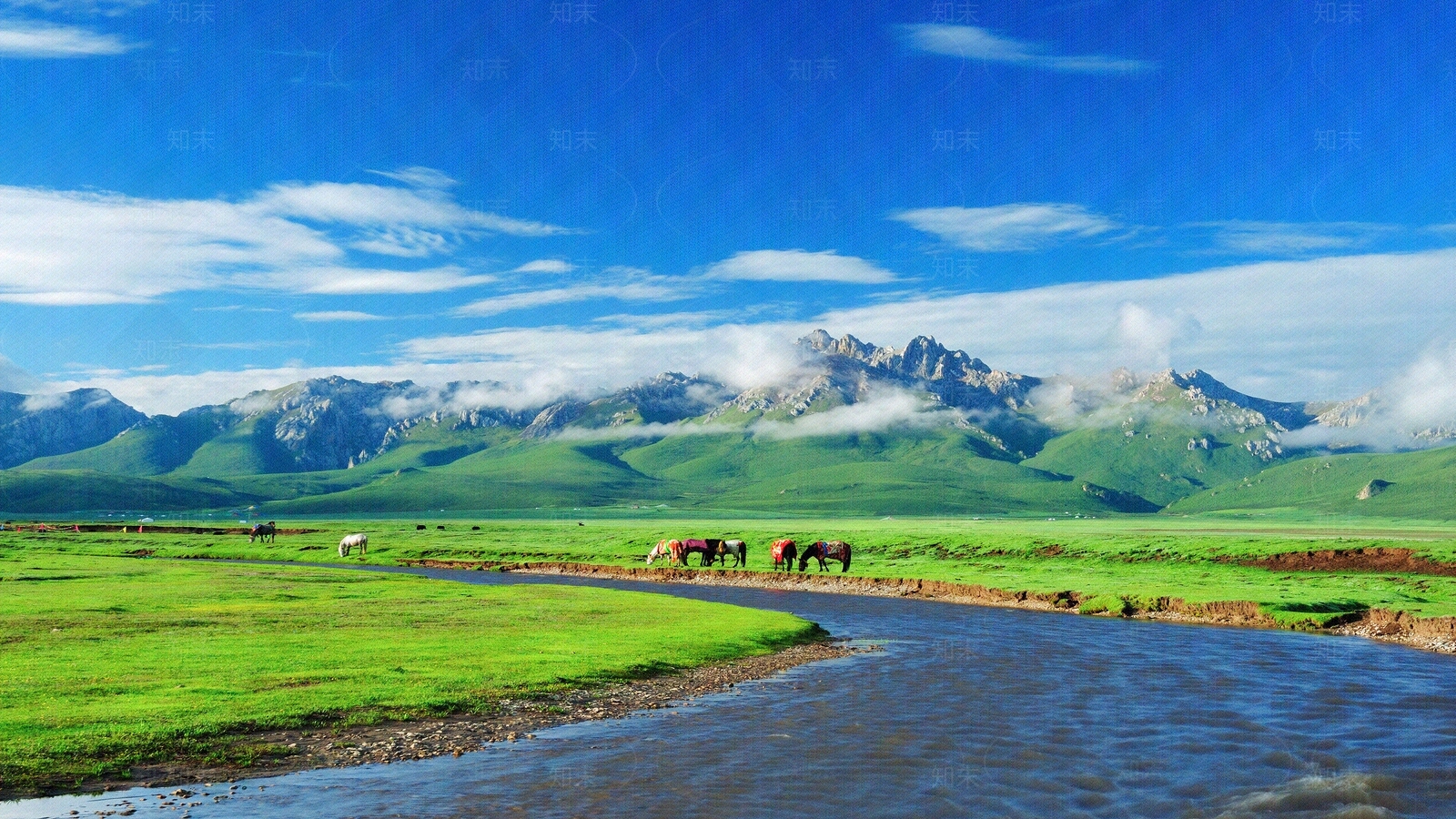 现代电脑屏幕贴图下载【ID:1187932218】