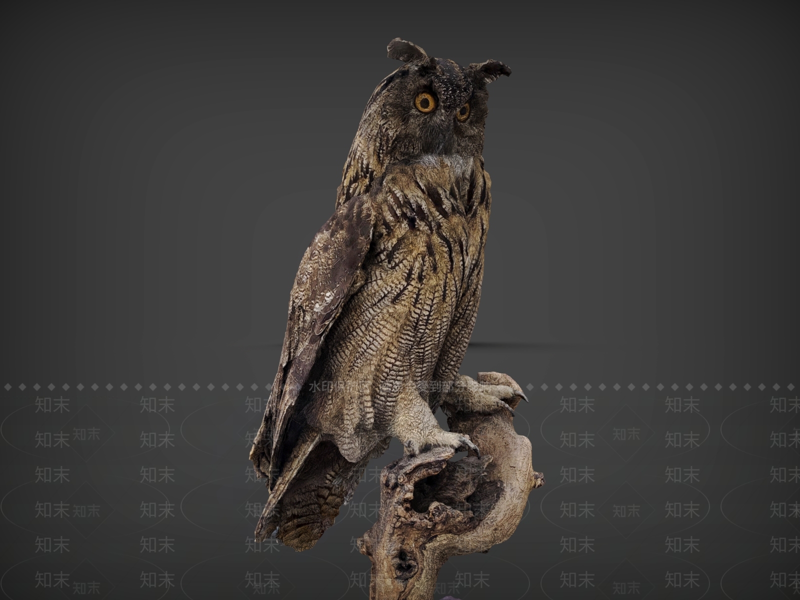 飞行类动物3D模型下载【ID:1187963862】