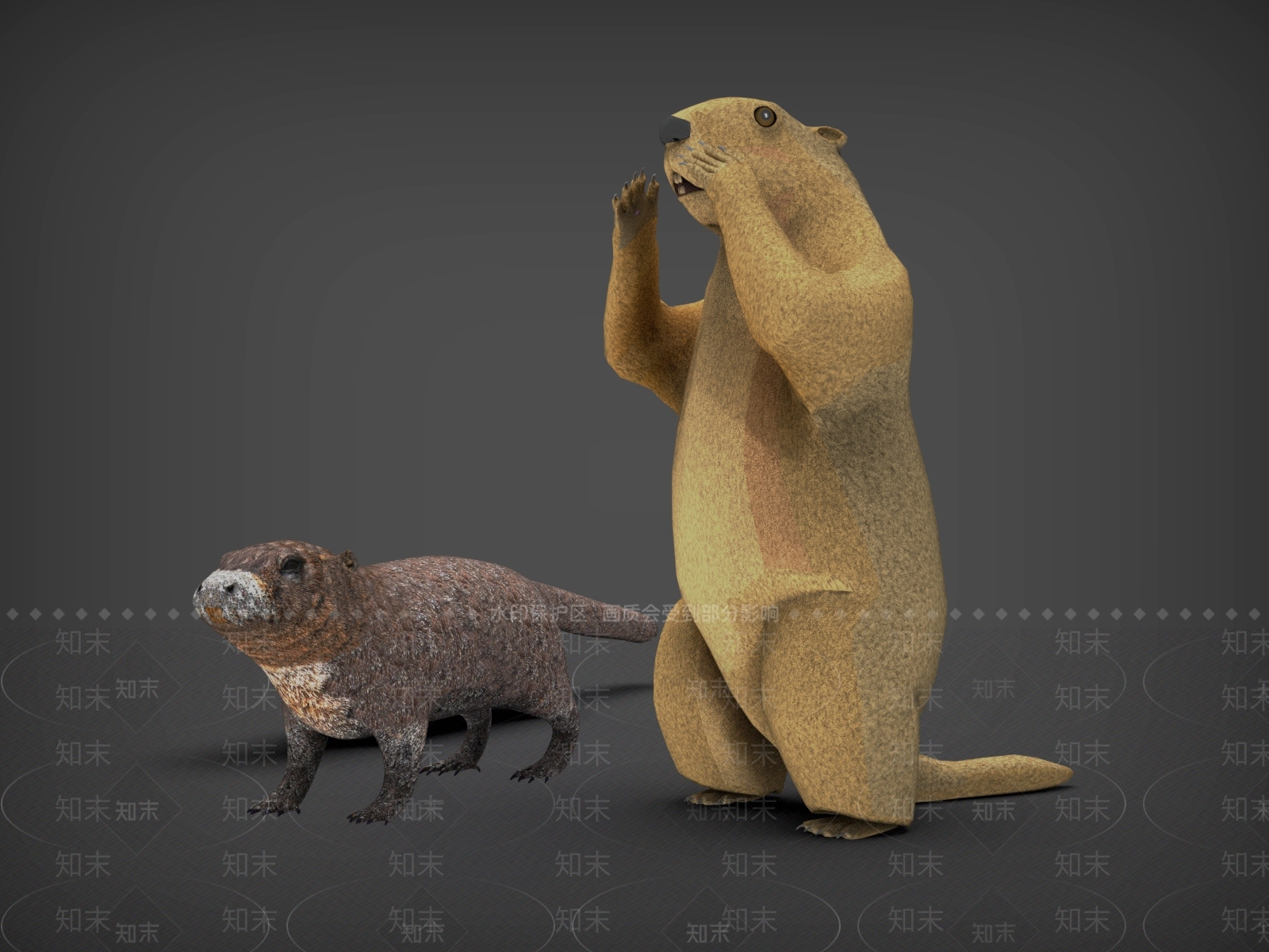 爬行类动物3D模型下载【ID:1187964006】