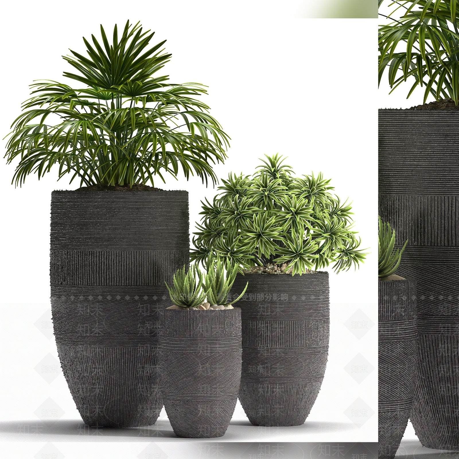 盆栽3D模型下载【ID:1187968207】