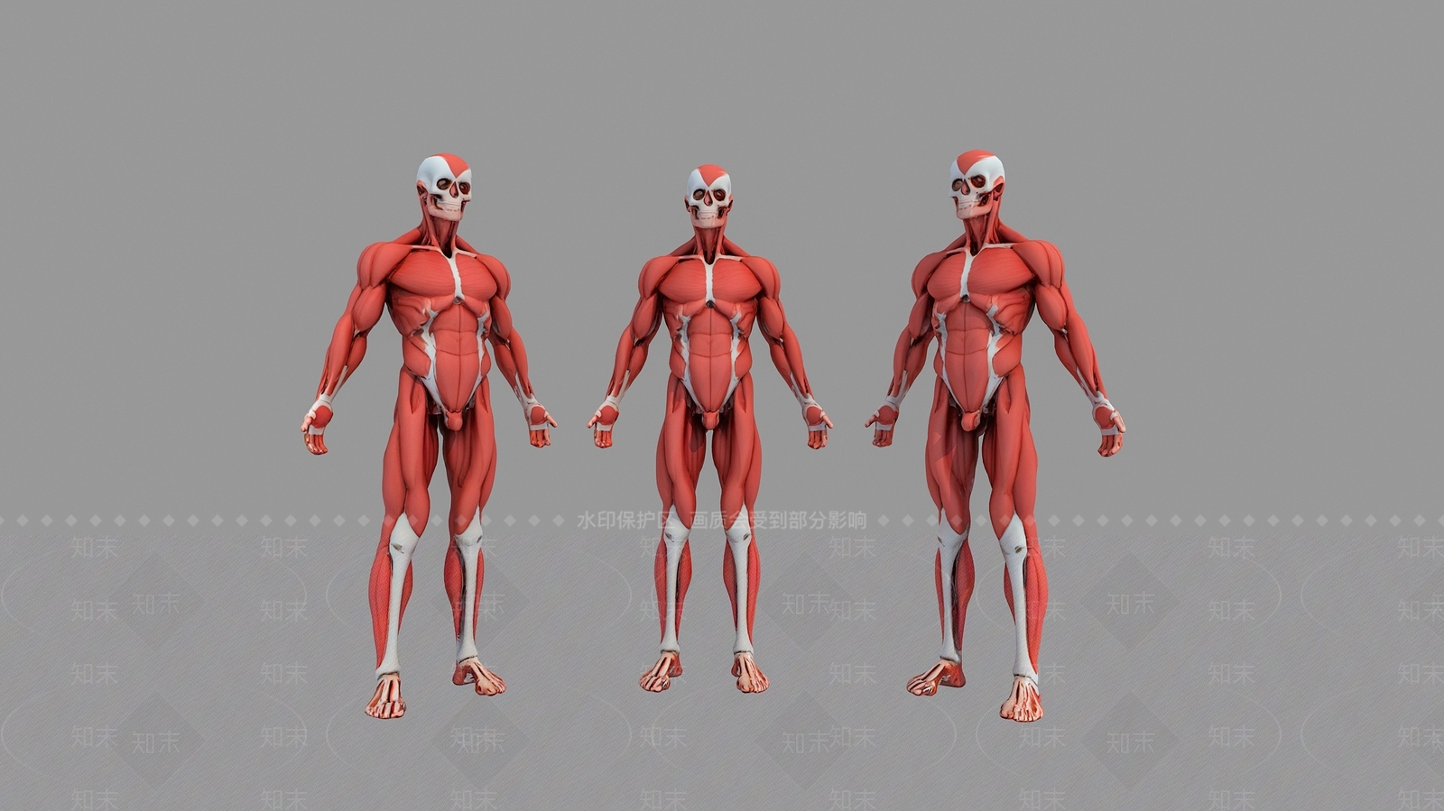 男人3D模型下载【ID:1188013234】
