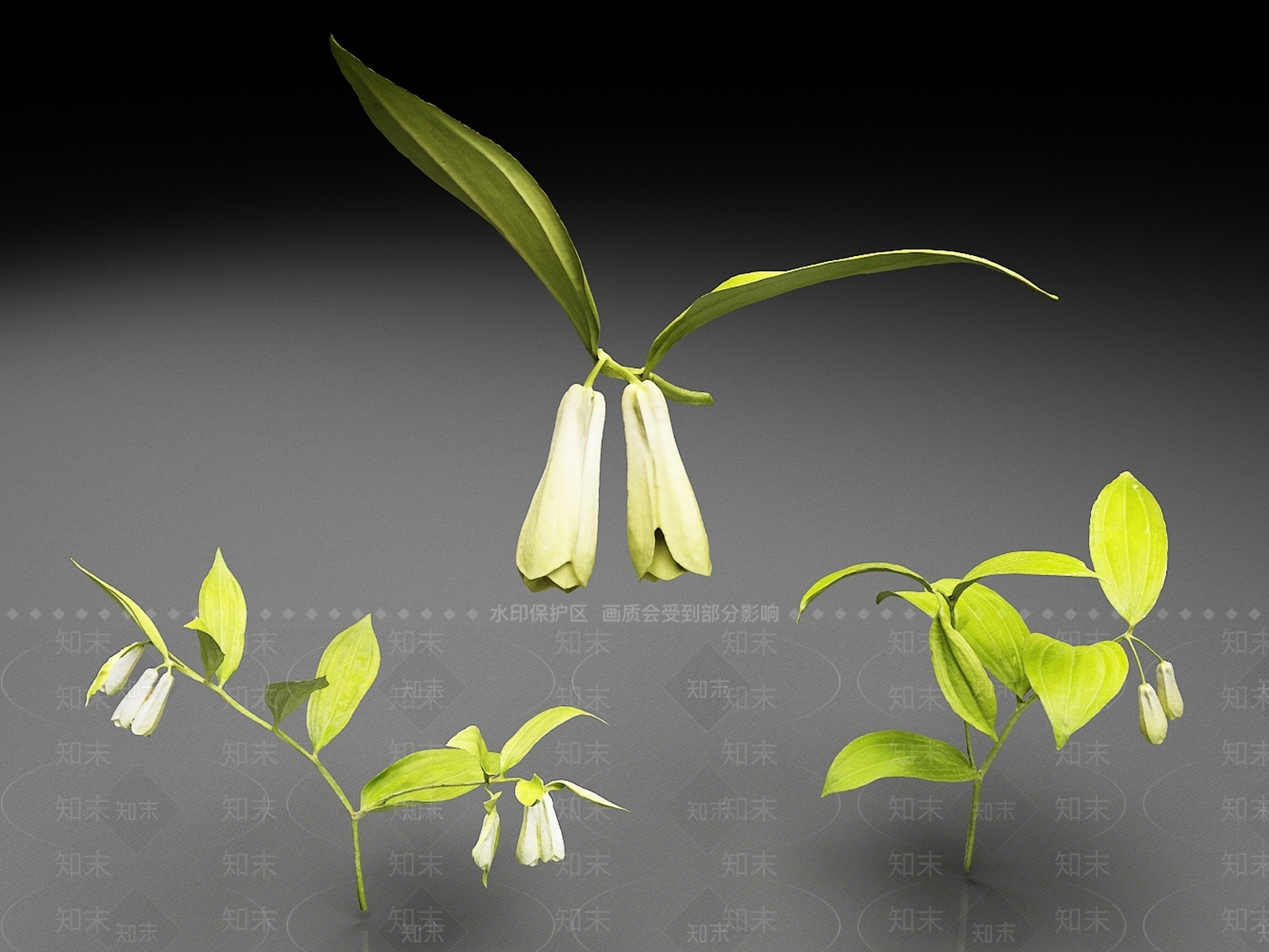 花草组合3D模型下载【ID:1188015567】