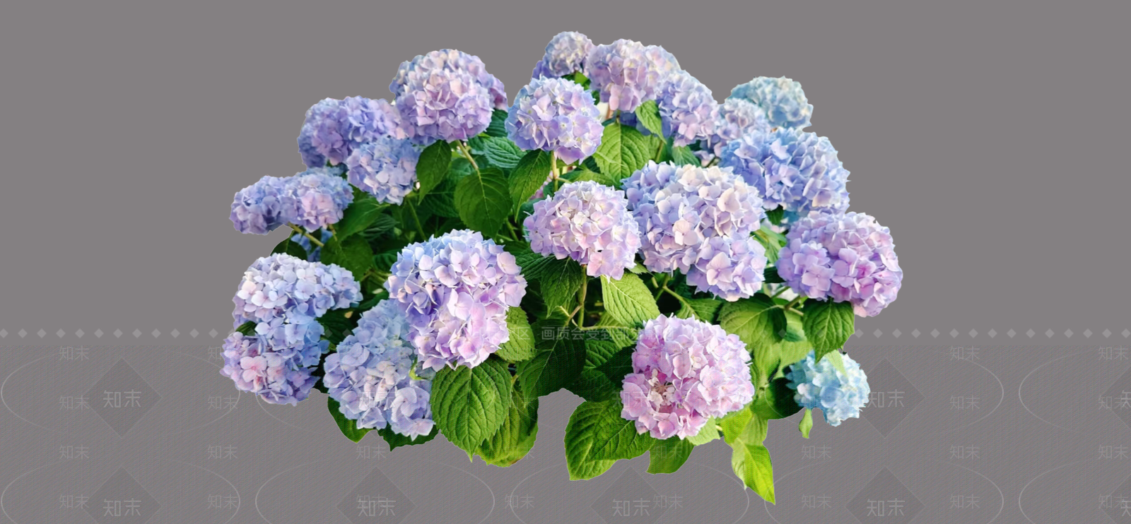 灌木SU模型下载【ID:1188030319】