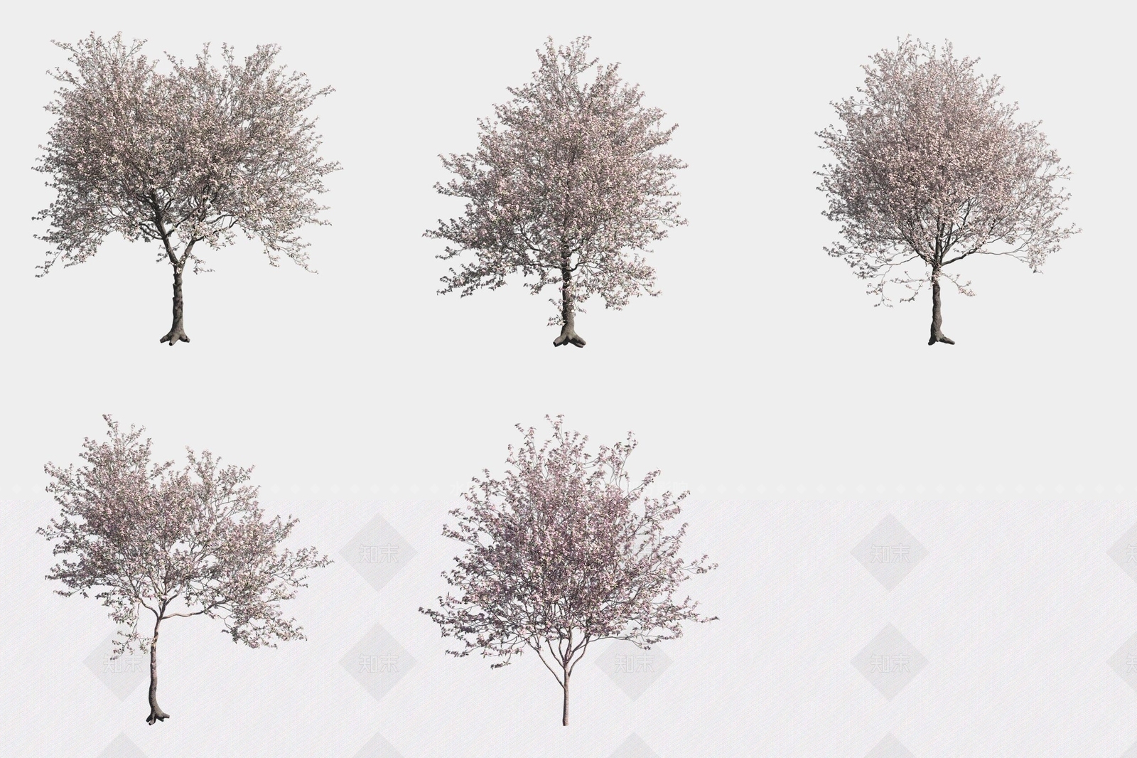 景观树3D模型下载【ID:1188058280】