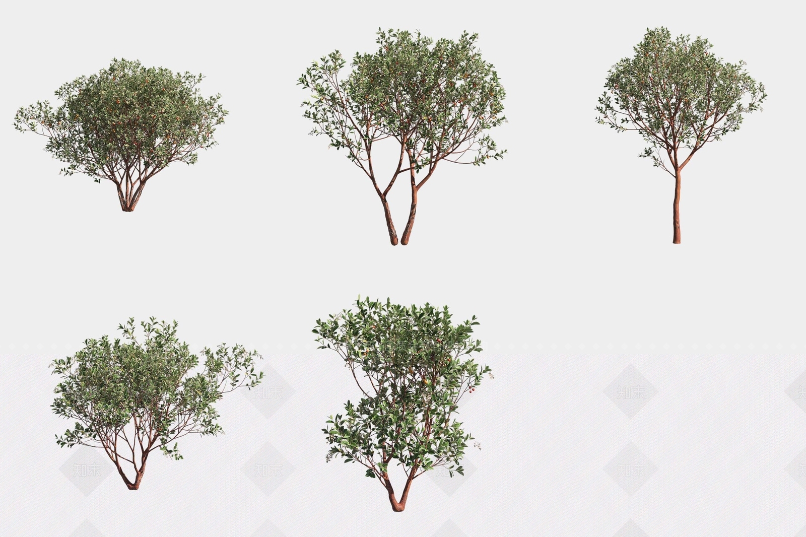 灌木3D模型下载【ID:1188058495】