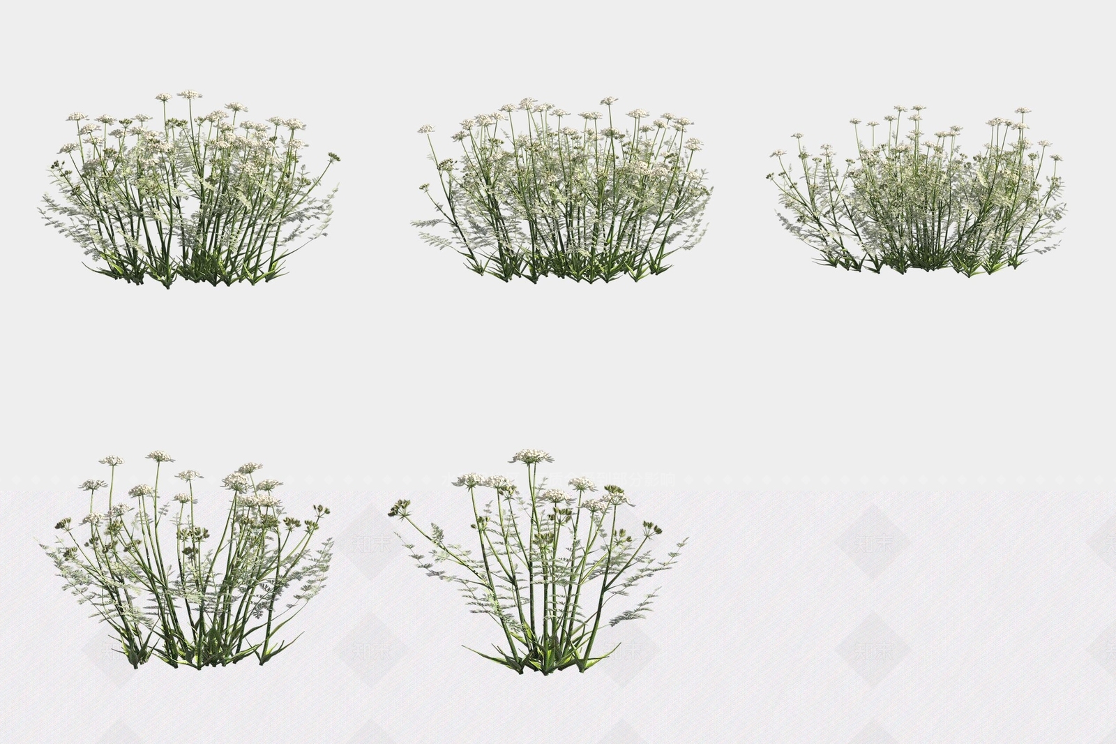 花草组合3D模型下载【ID:1188058659】