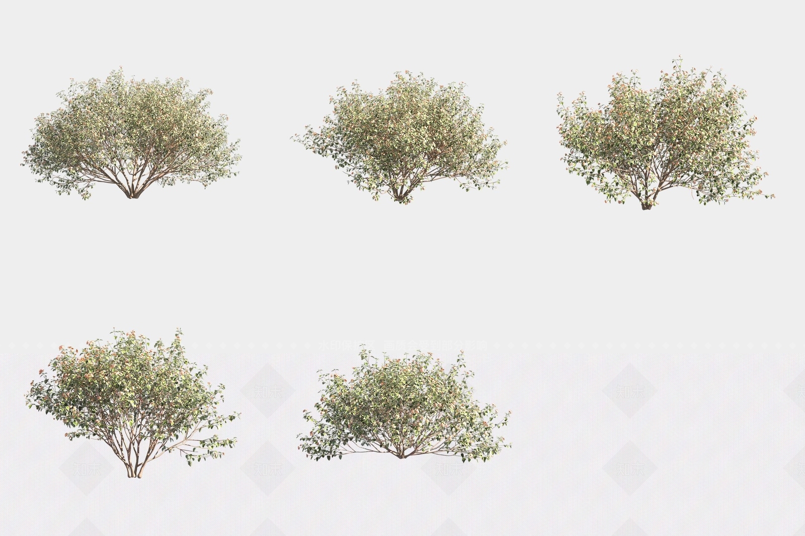 灌木3D模型下载【ID:1188060248】