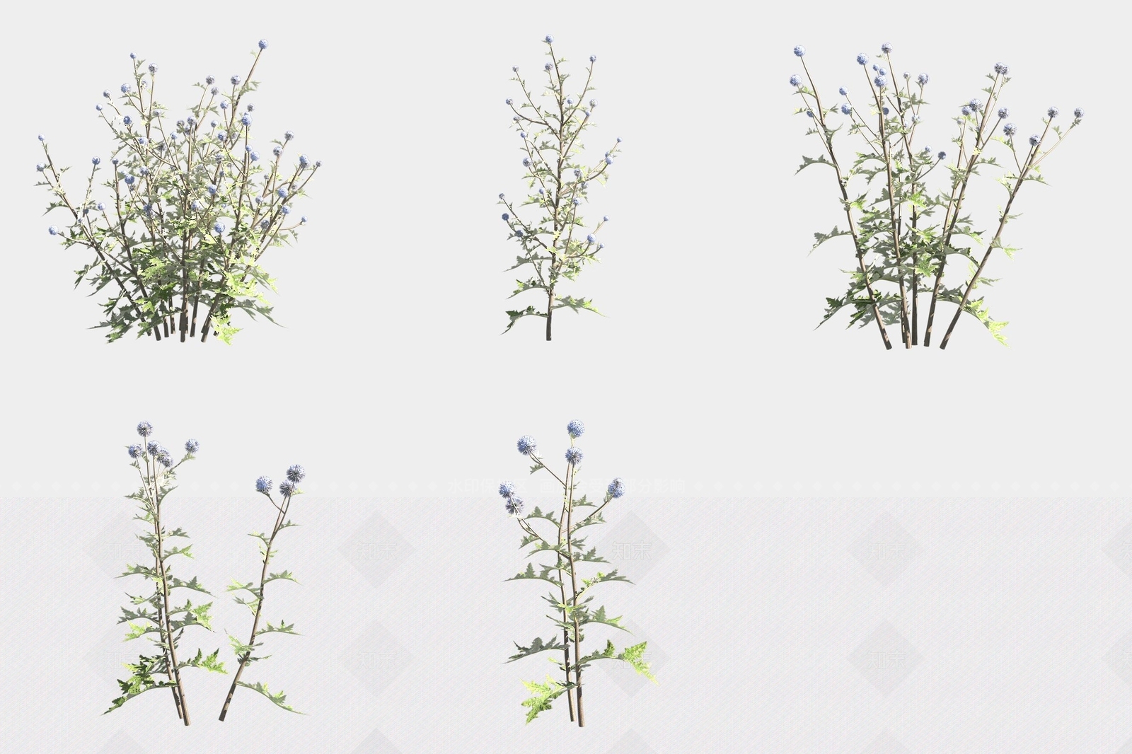 花草组合3D模型下载【ID:1188060476】
