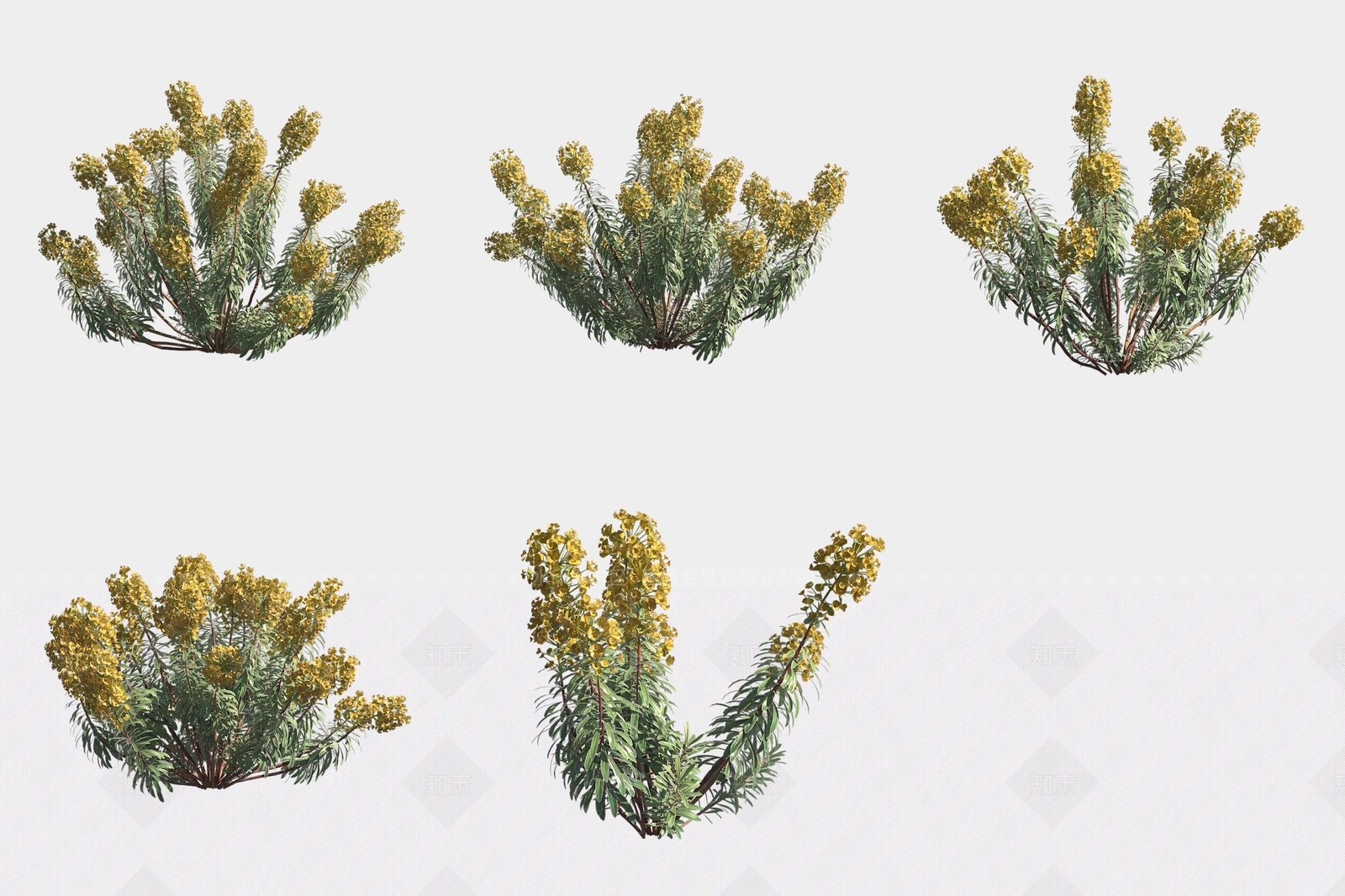 花草组合3D模型下载【ID:1188061009】