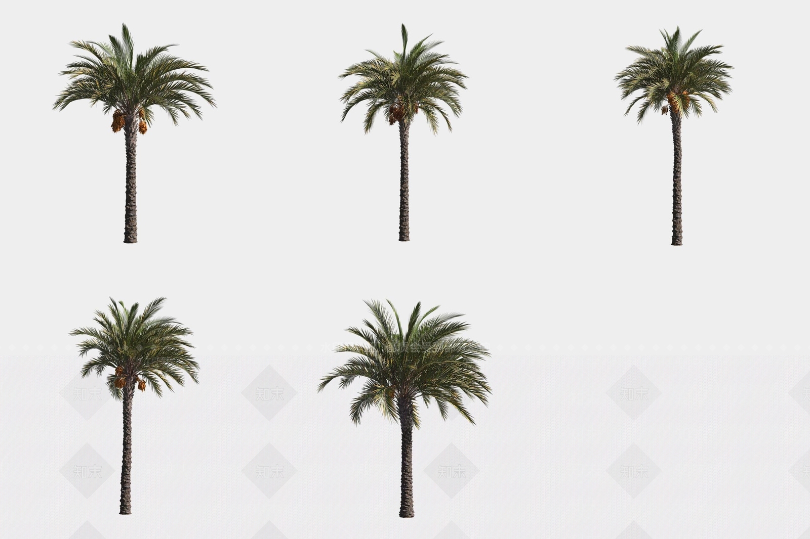 景观树3D模型下载【ID:1188061460】