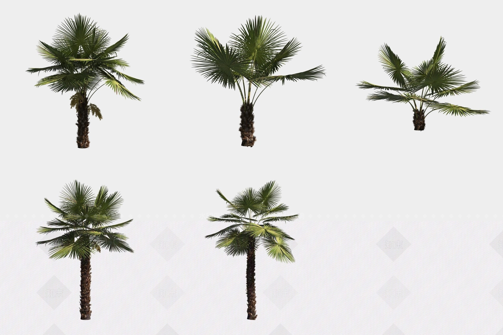 景观树3D模型下载【ID:1188061733】