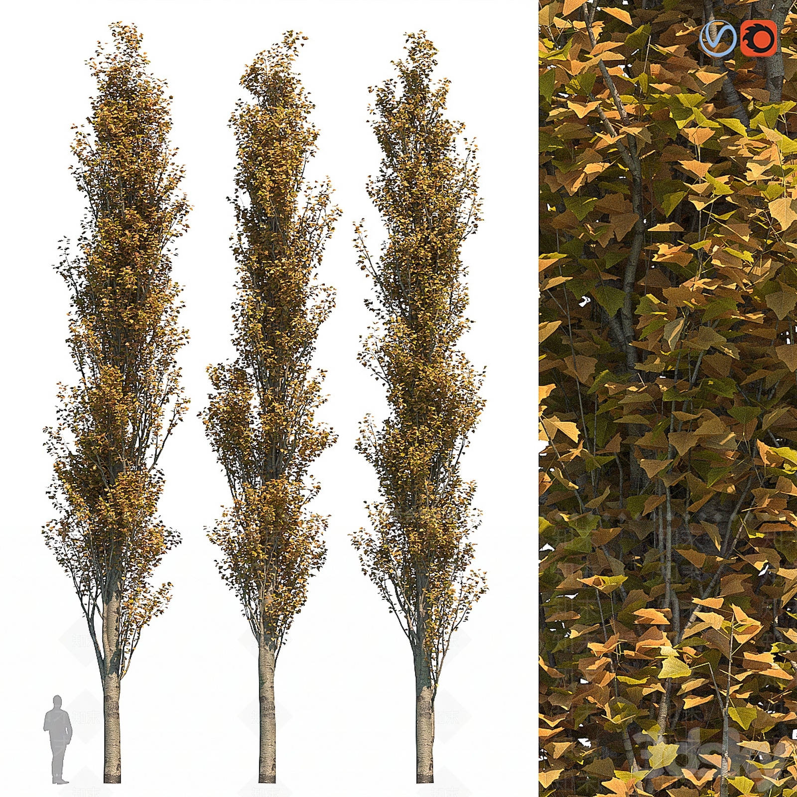 乔木3D模型下载【ID:1188068660】