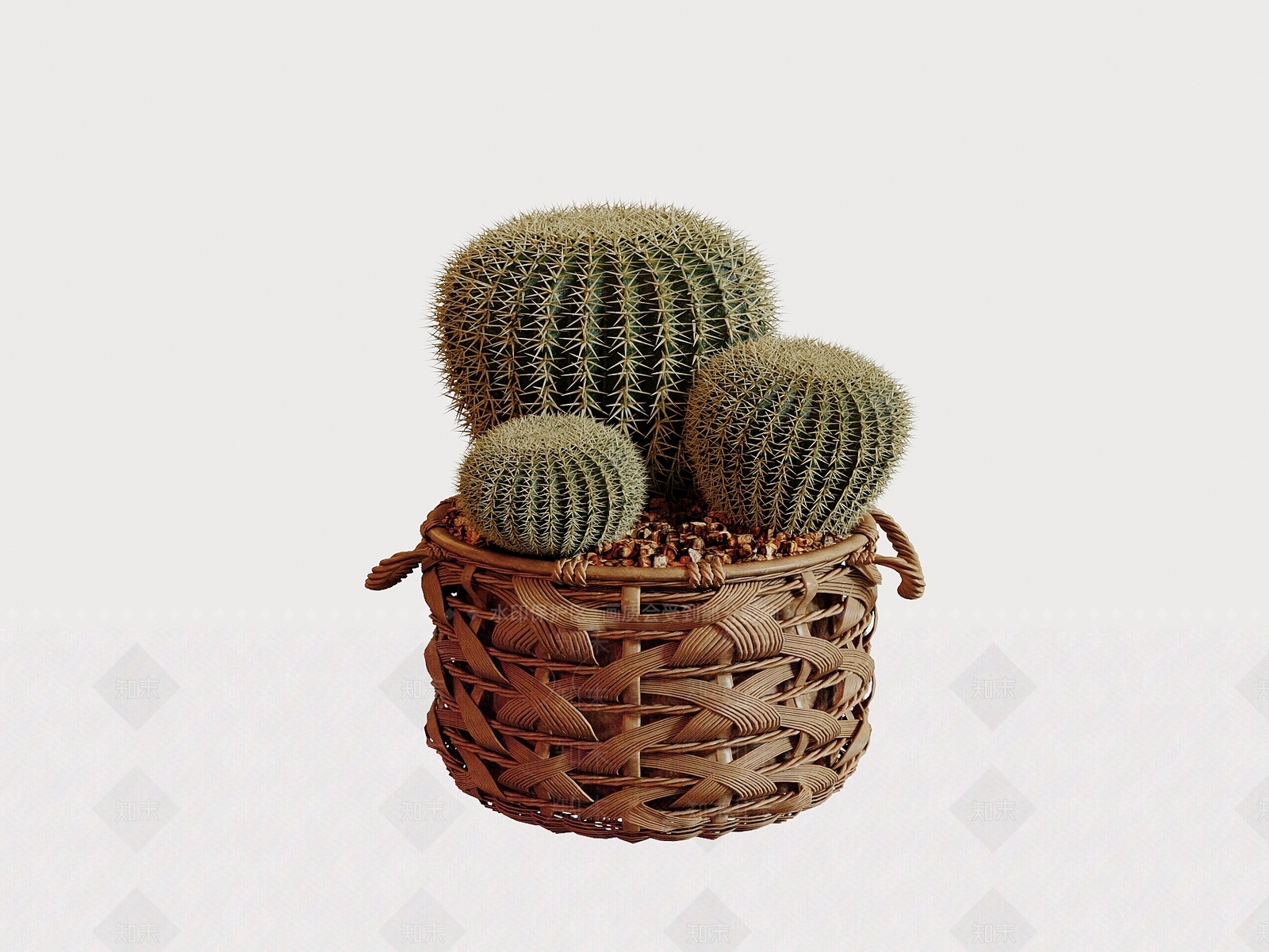 其他绿植3D模型下载【ID:1188080224】