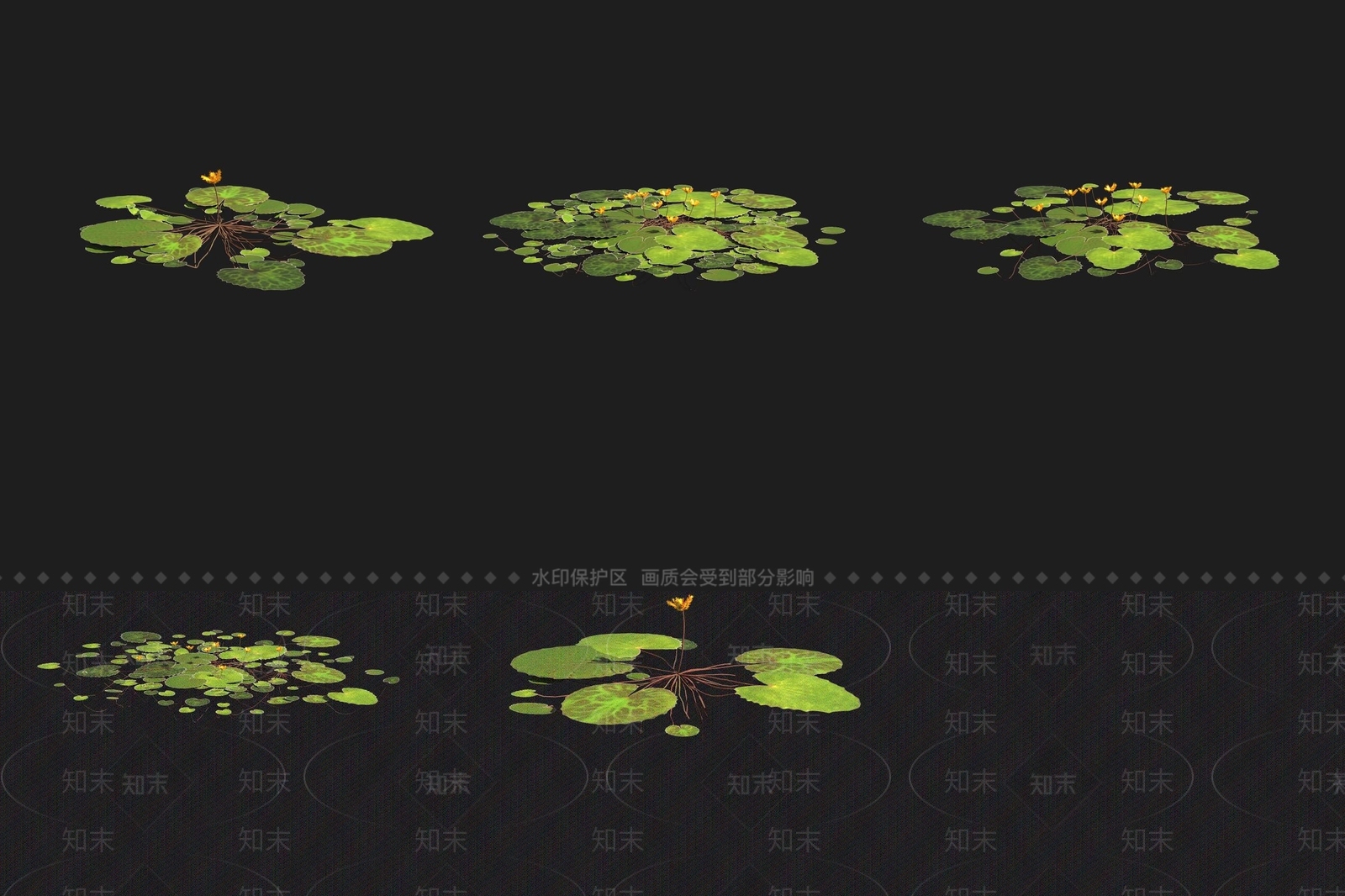 水生植物3D模型下载【ID:1188116212】
