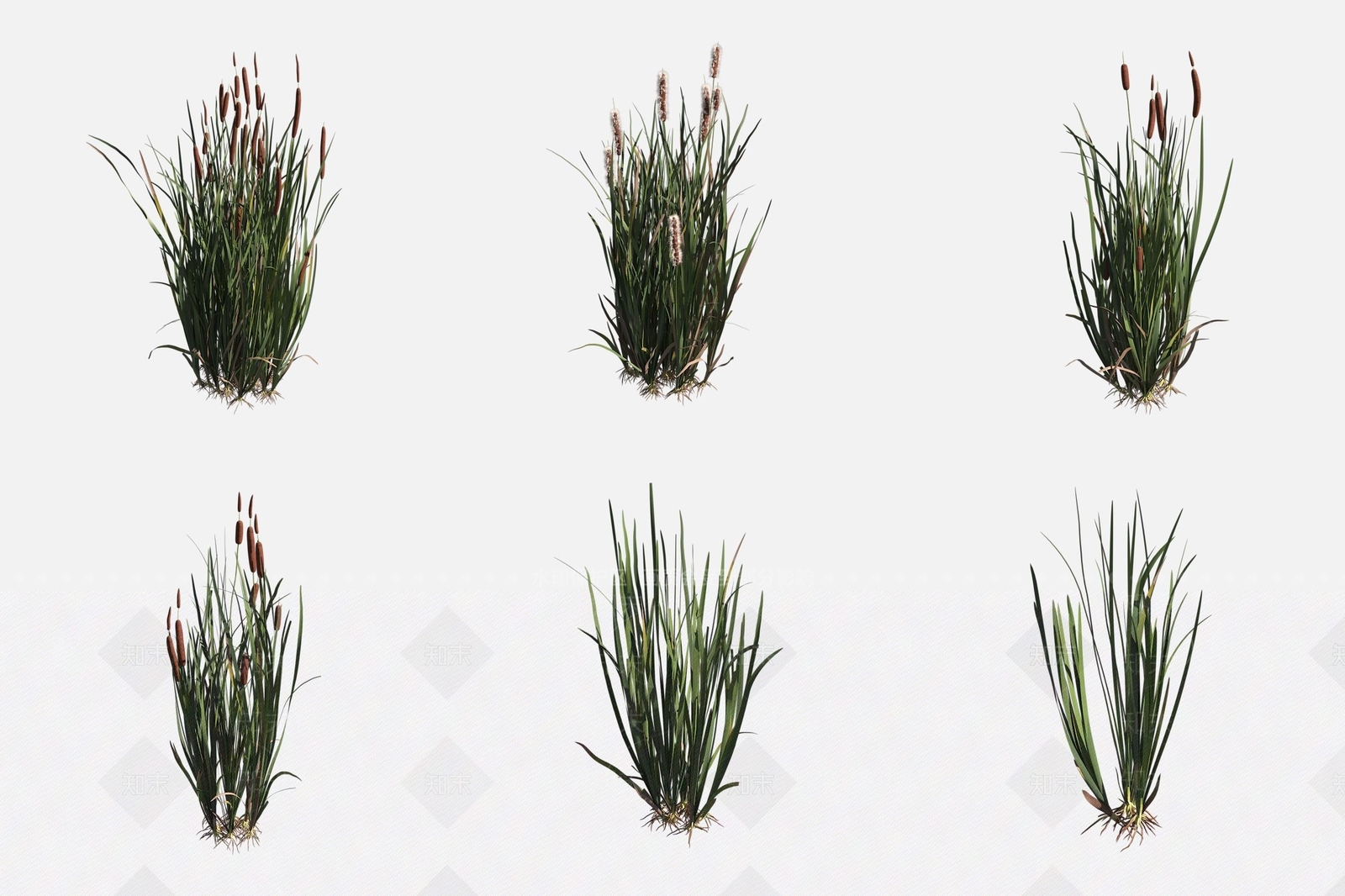 水生植物3D模型下载【ID:1188121905】