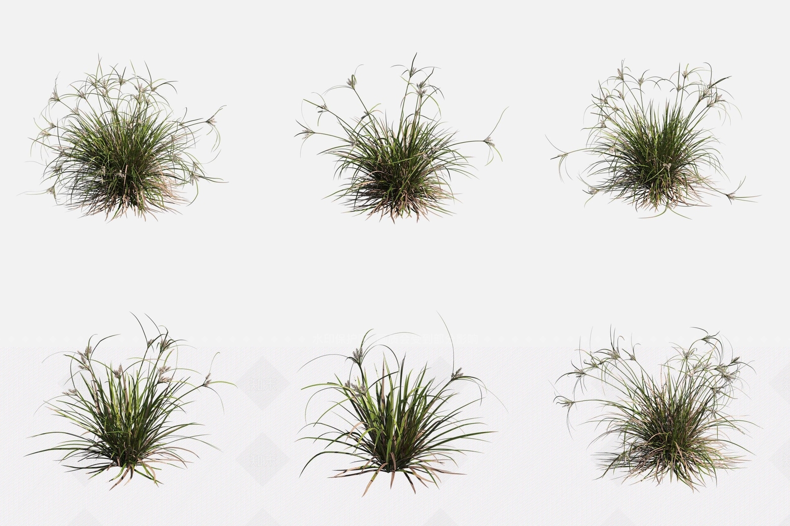 水生植物3D模型下载【ID:1188122130】