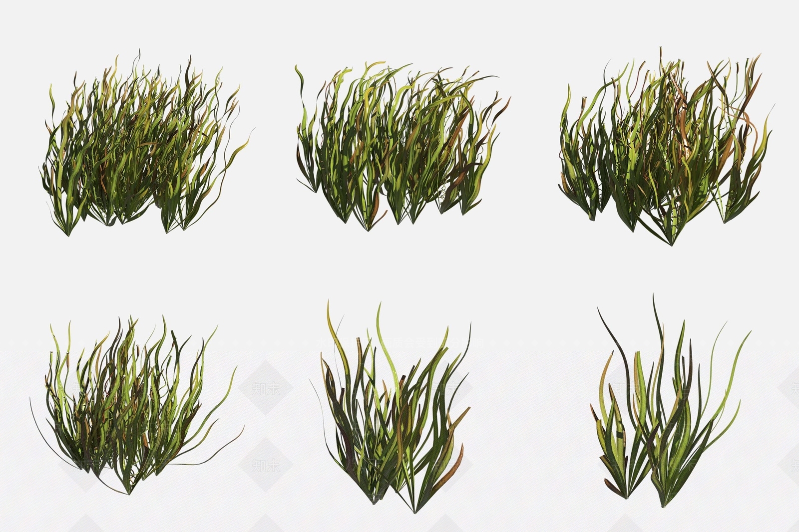 水生植物3D模型下载【ID:1188122450】