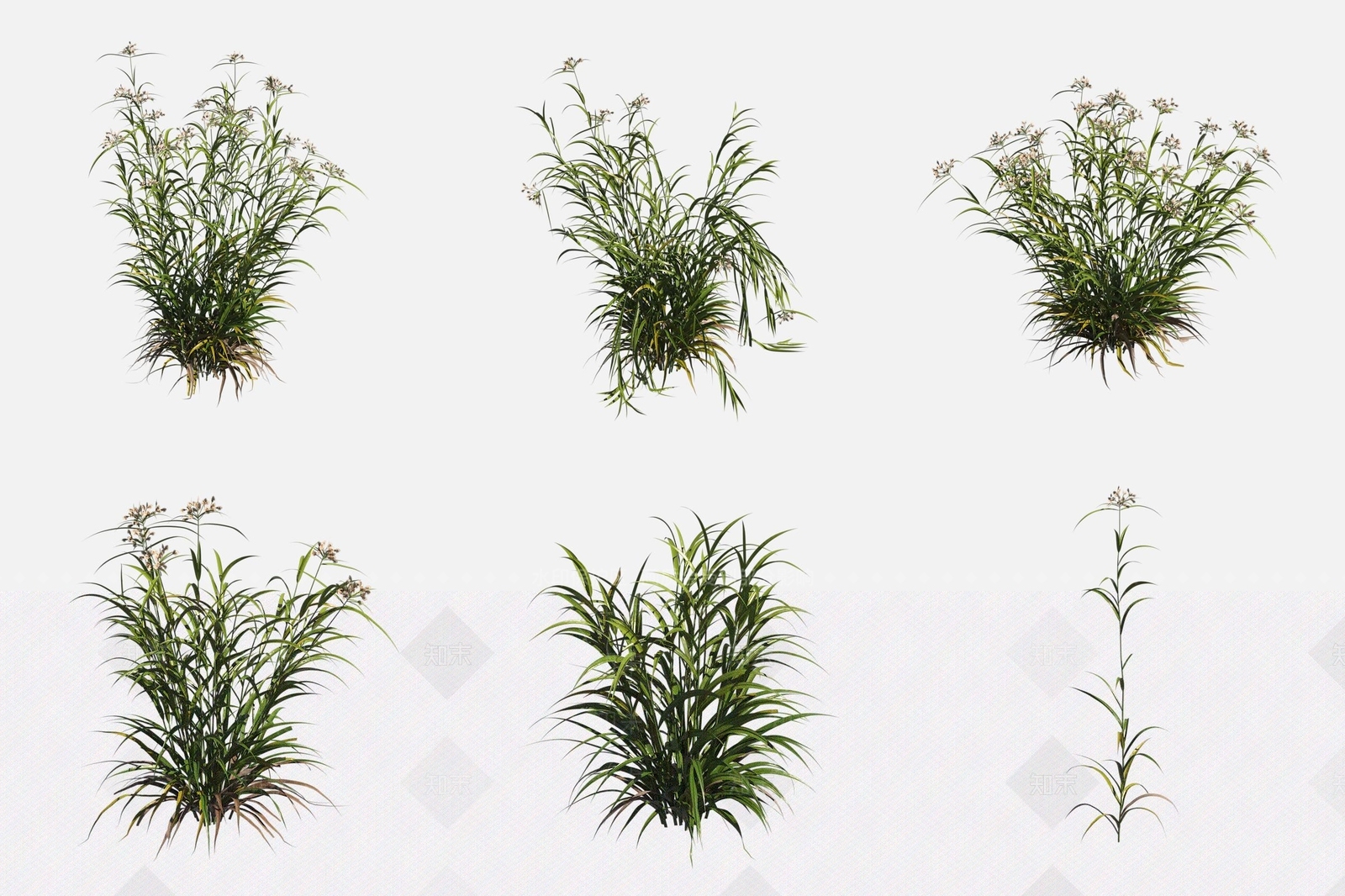 水生植物3D模型下载【ID:1188122953】