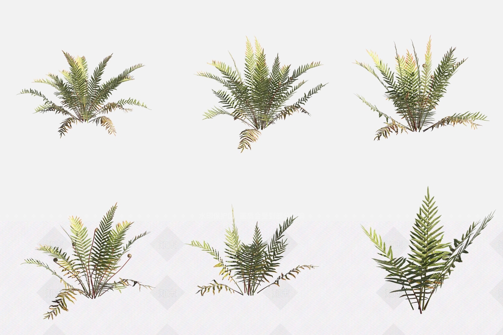 水生植物3D模型下载【ID:1188123249】