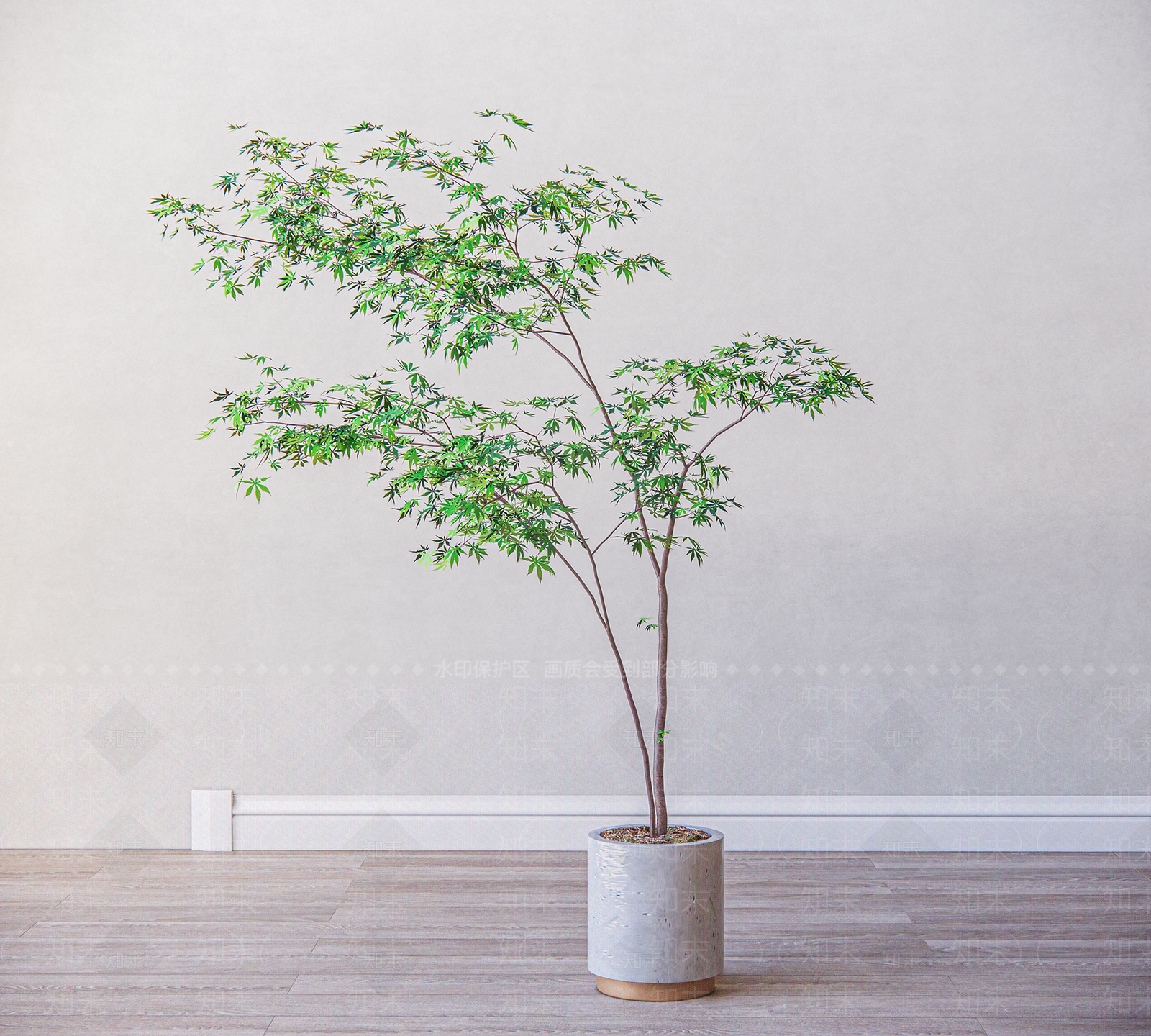 盆栽SU模型下载【ID:1188139459】