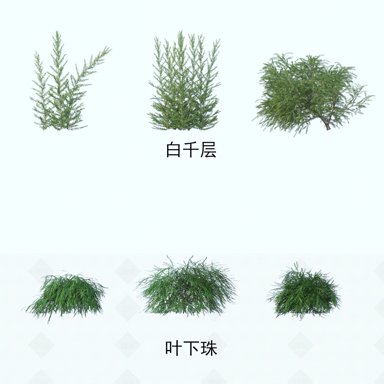 花草组合3D模型下载【ID:1188154081】