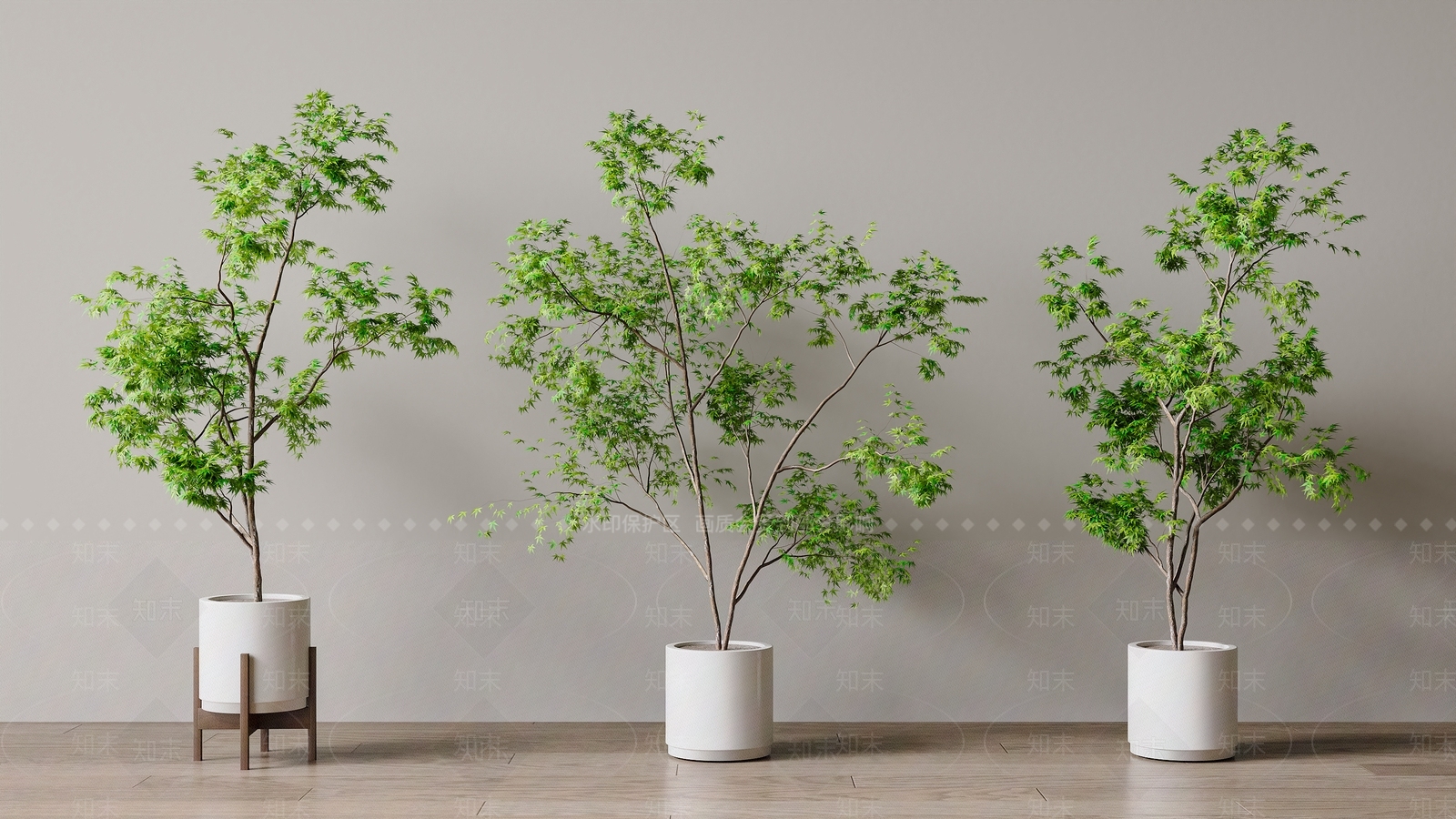 盆栽3D模型下载【ID:1188155154】
