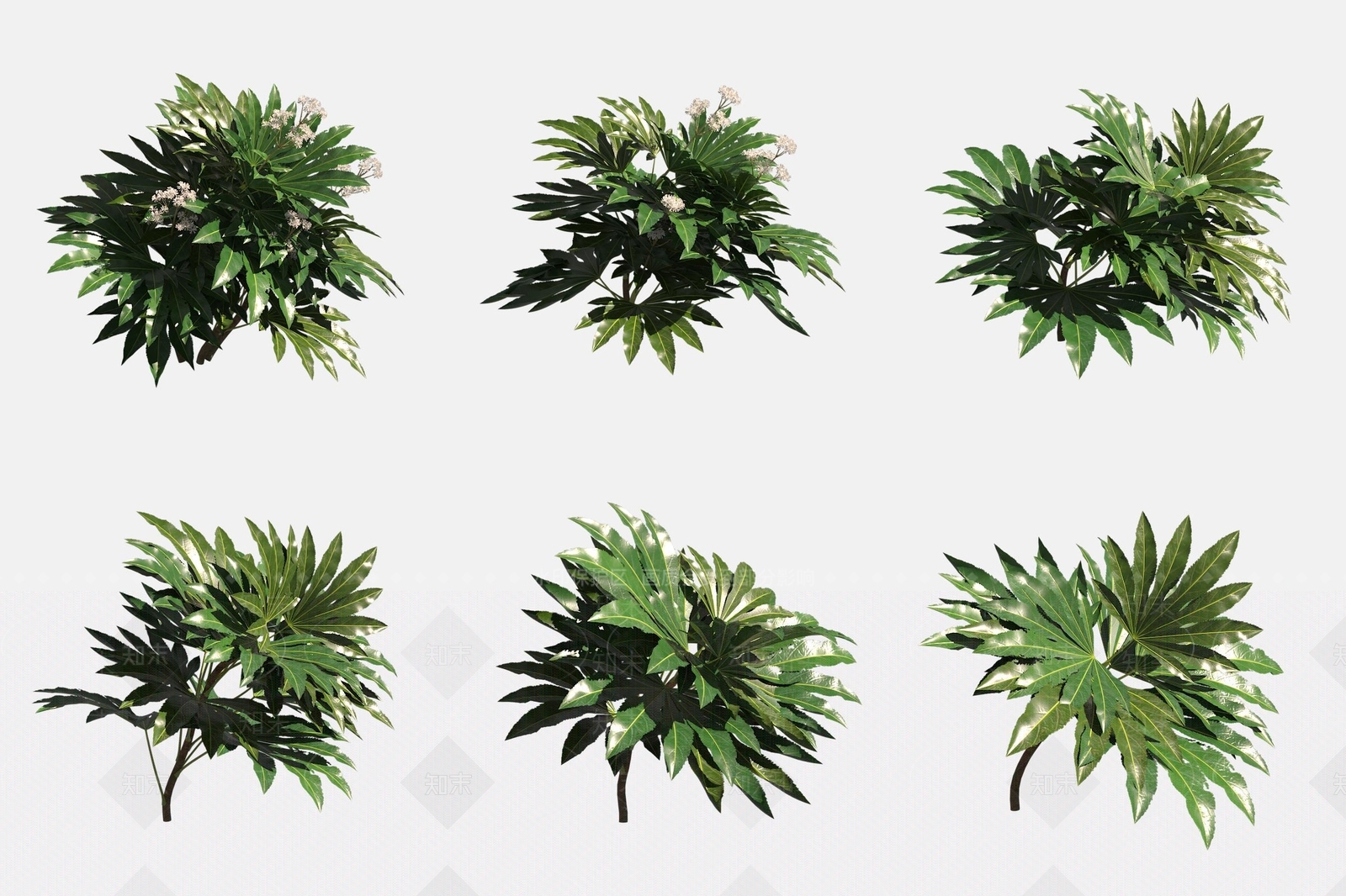 花草组合3D模型下载【ID:1188194966】