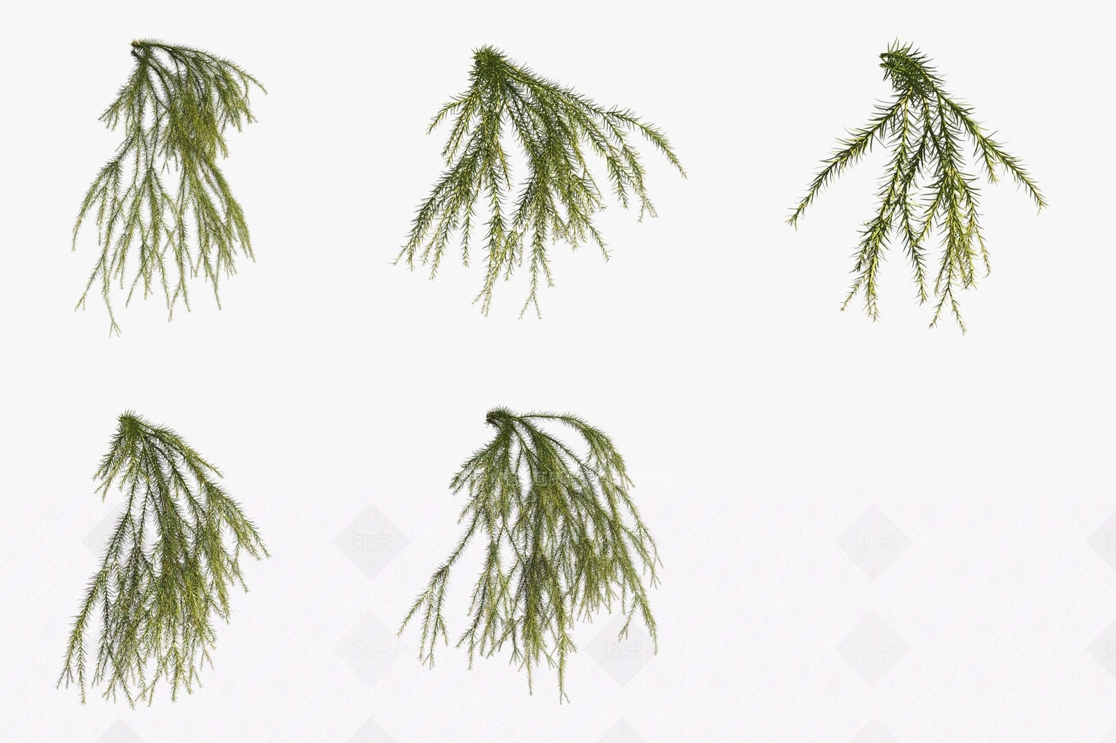 现代植物堆3D模型下载【ID:1188195517】